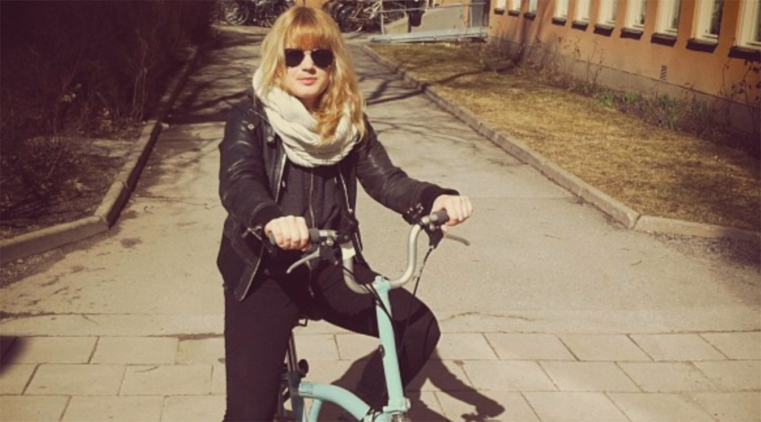 Færdselspolitiet – Sverige