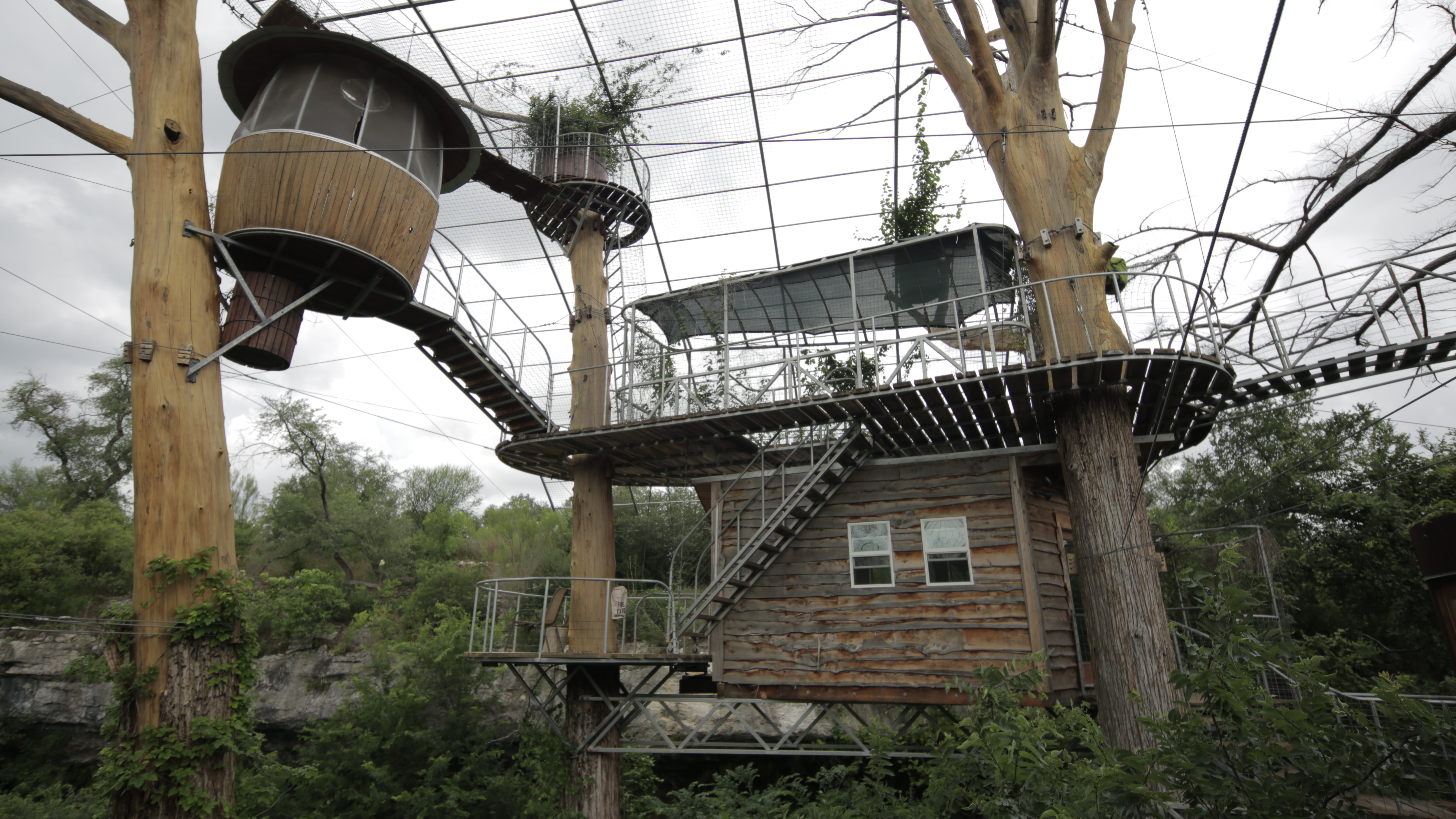 Ultimate Treehouses VI