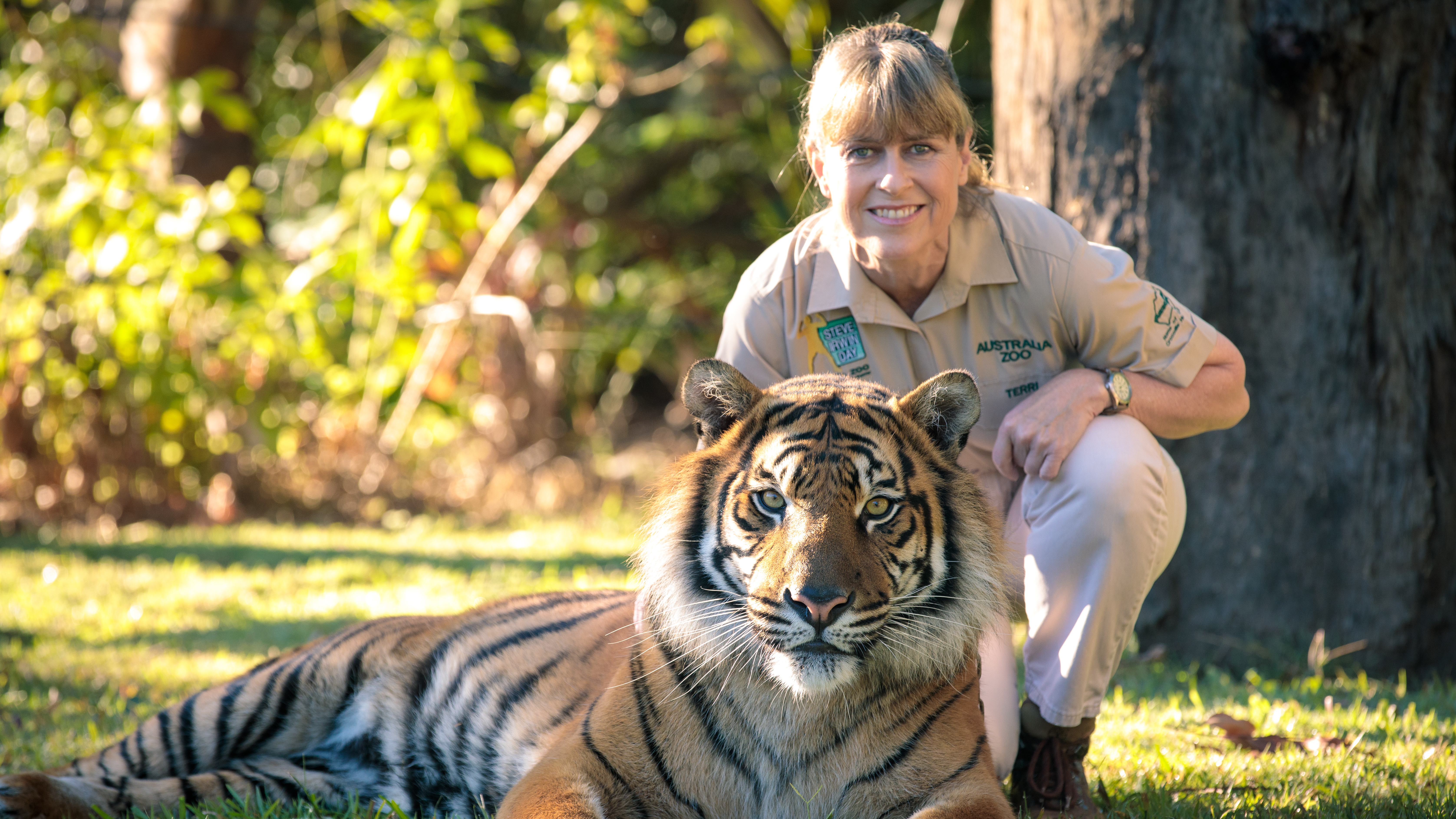 Swimming With Manta Rays