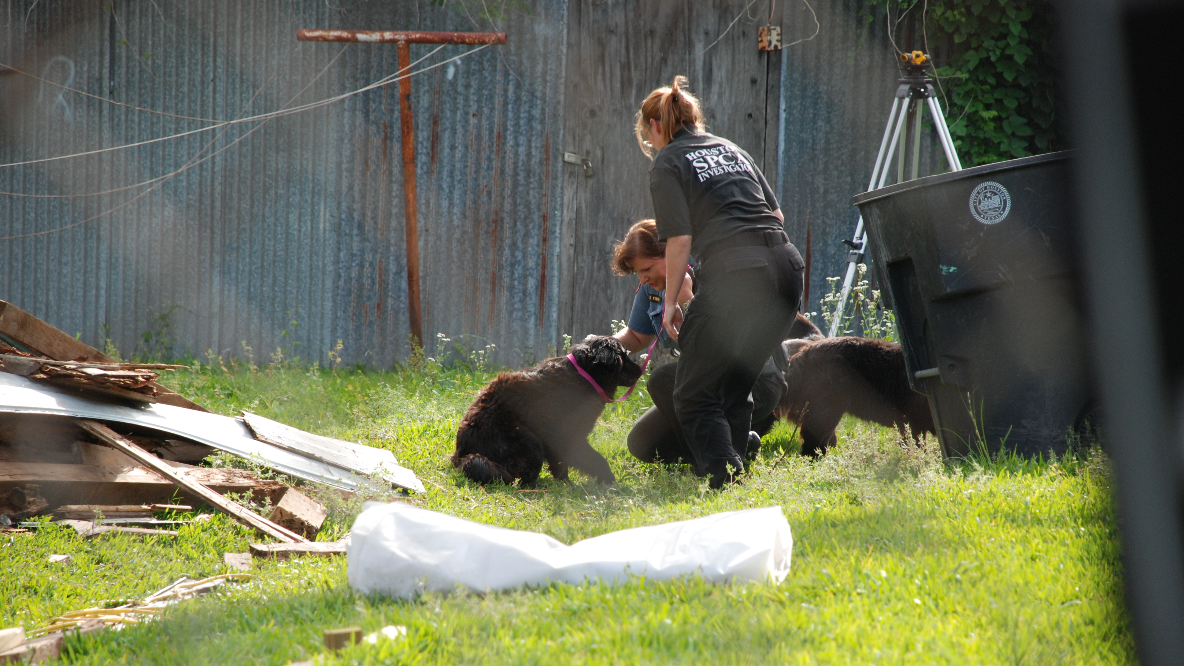 Amazing Transformations