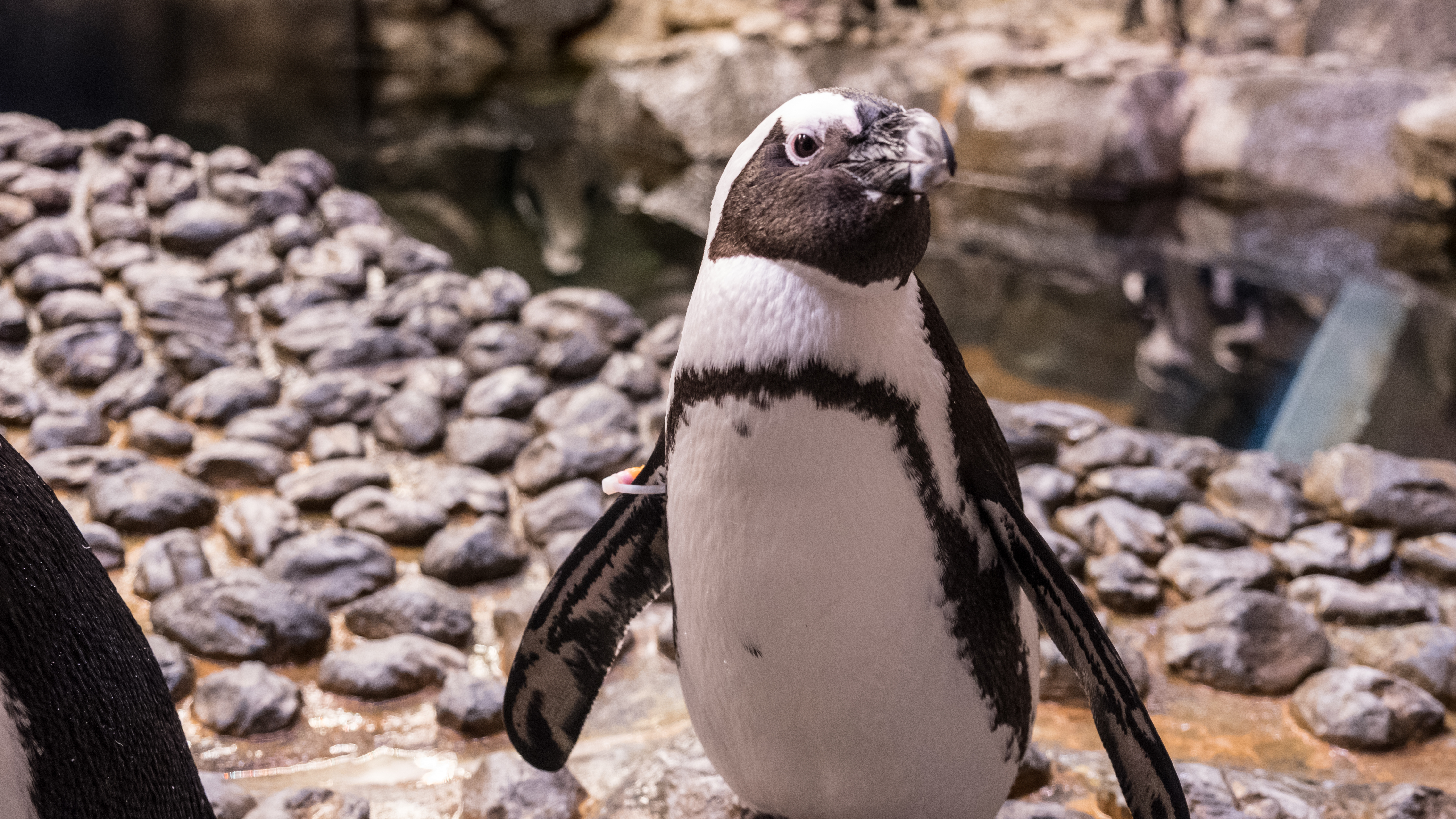 Slimy Is The New Fuzzy