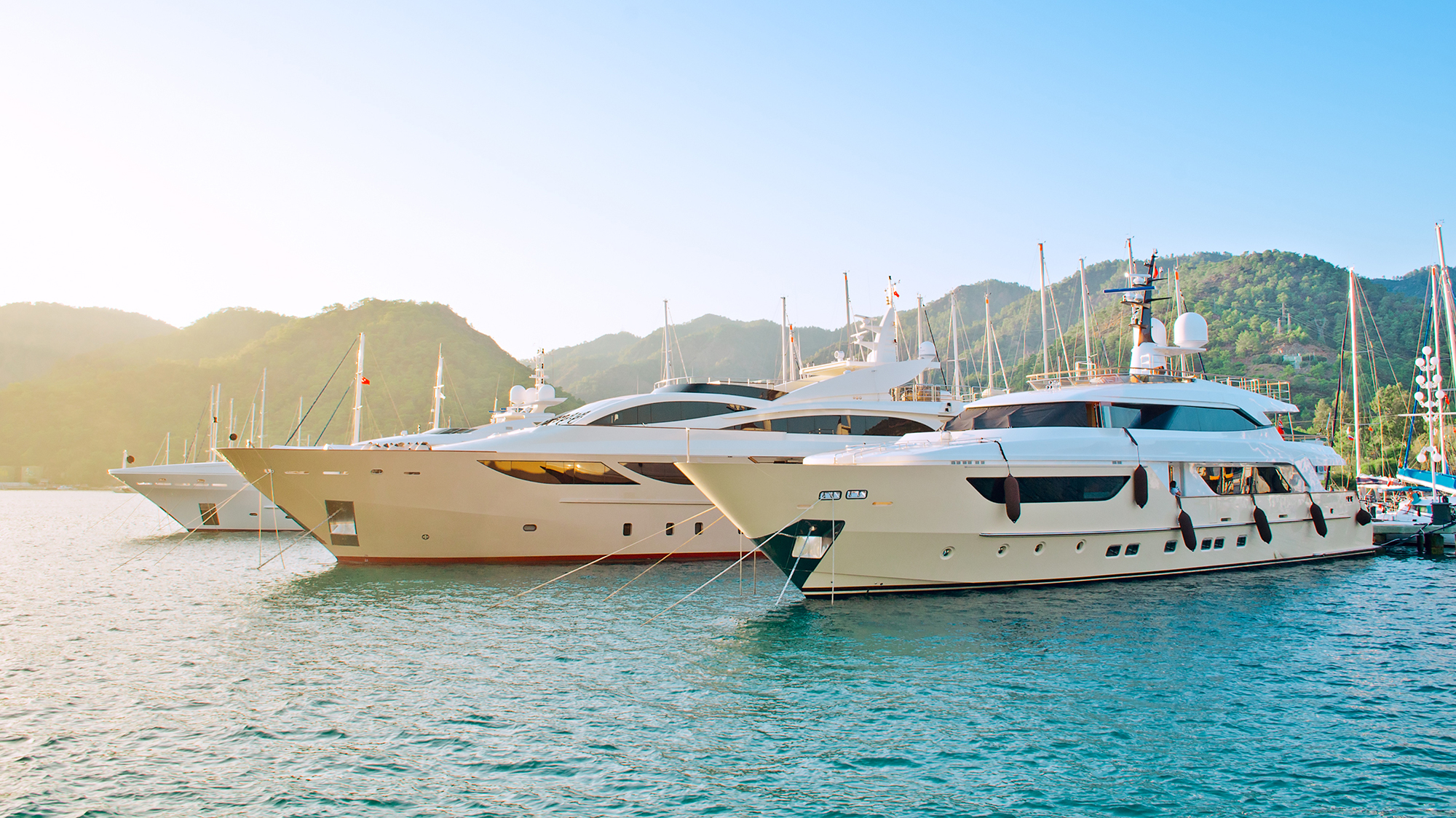 Hollow Disk Pumps, Palm Sugar, And Yachts