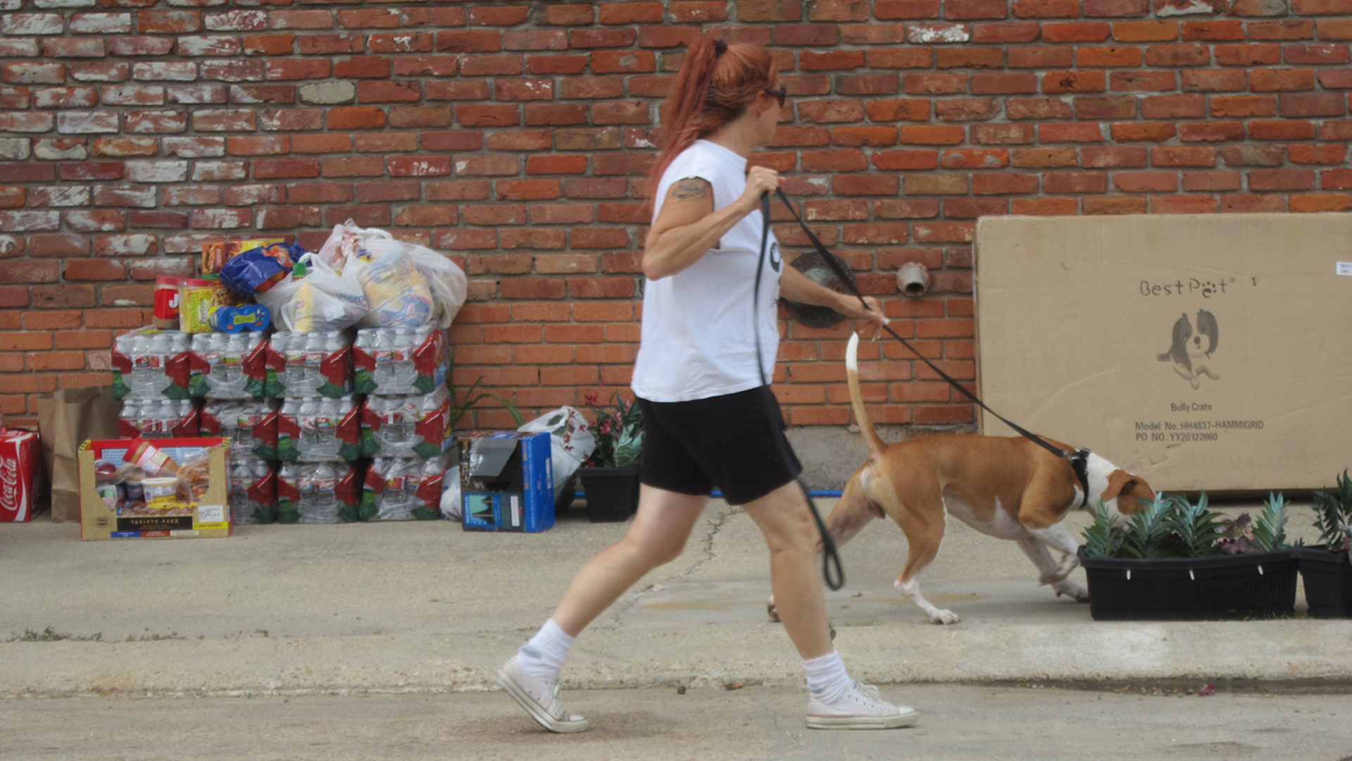Storm on the Horizon