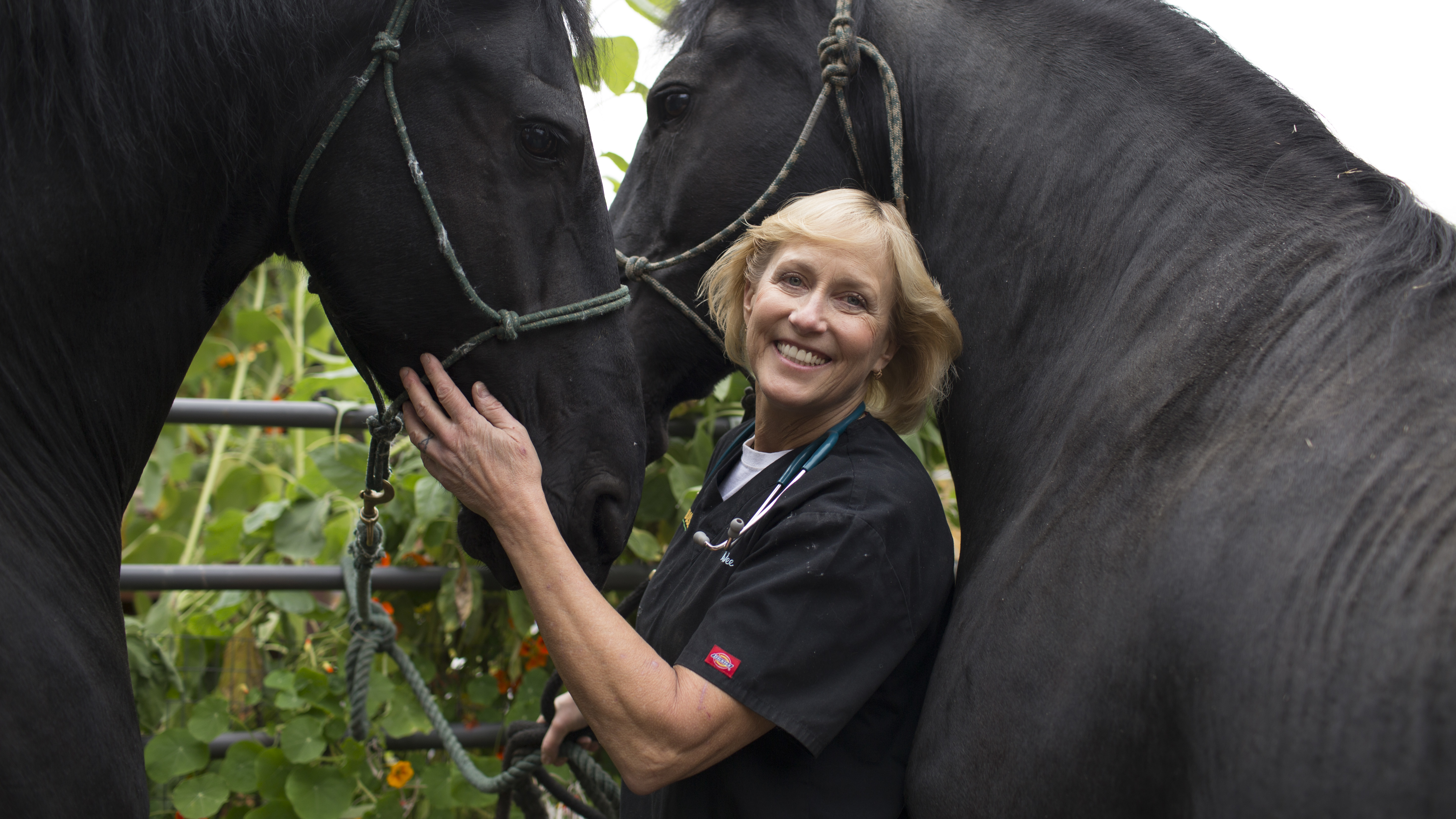 Socked In & Stranded