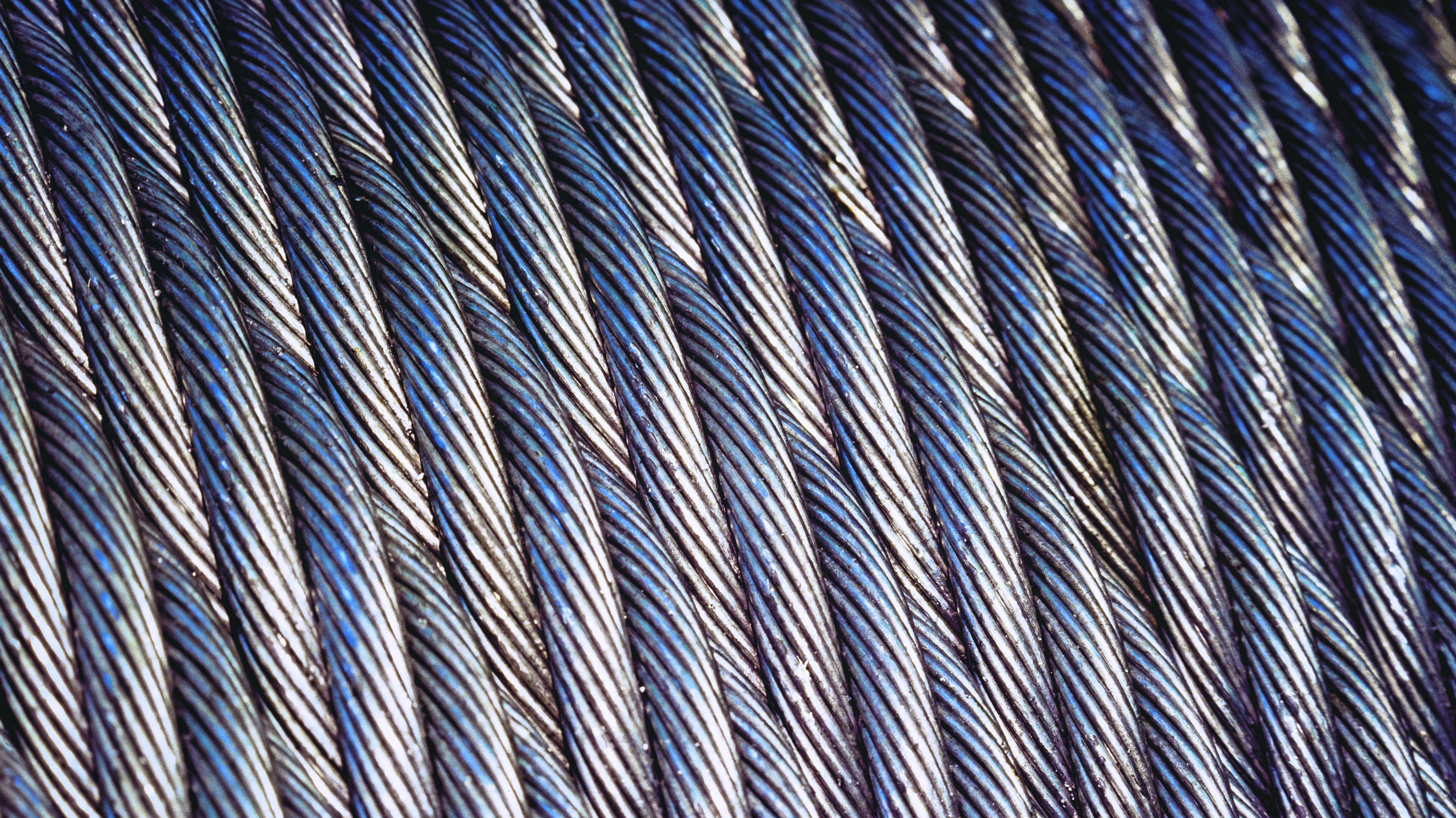 Industrial Wire Ropes/Living Walls/Large Format Cameras