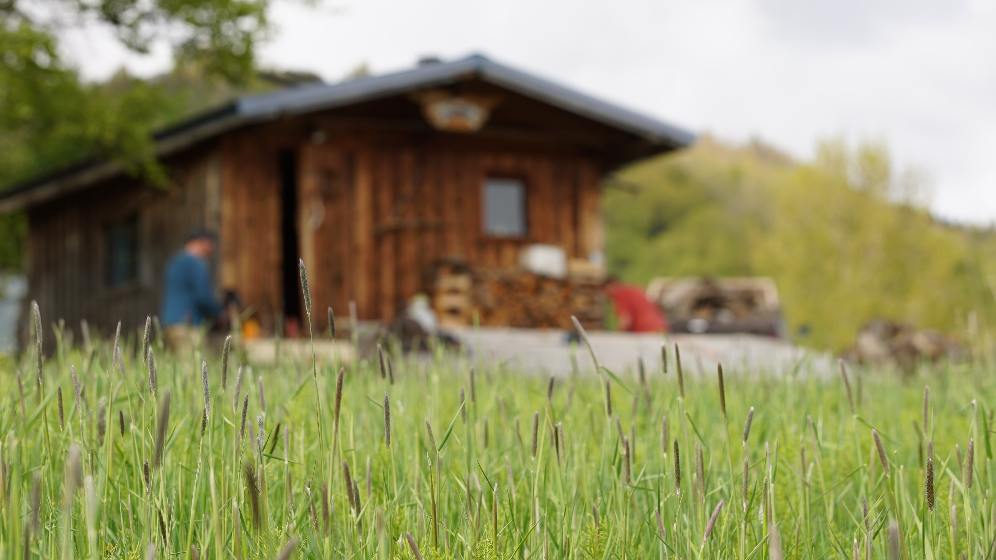 Alaska: The Last Frontier