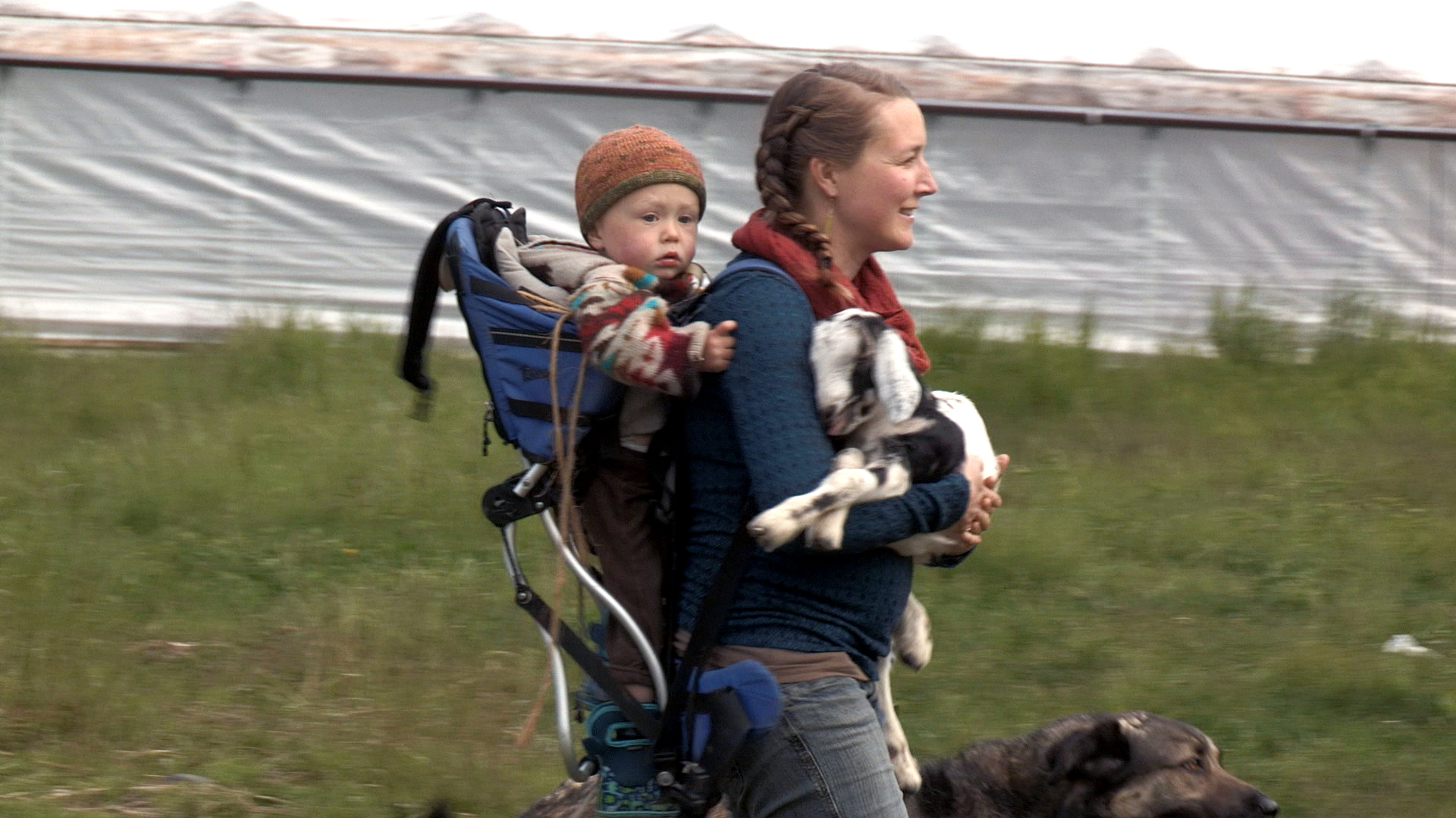 Alaska: The Last Frontier