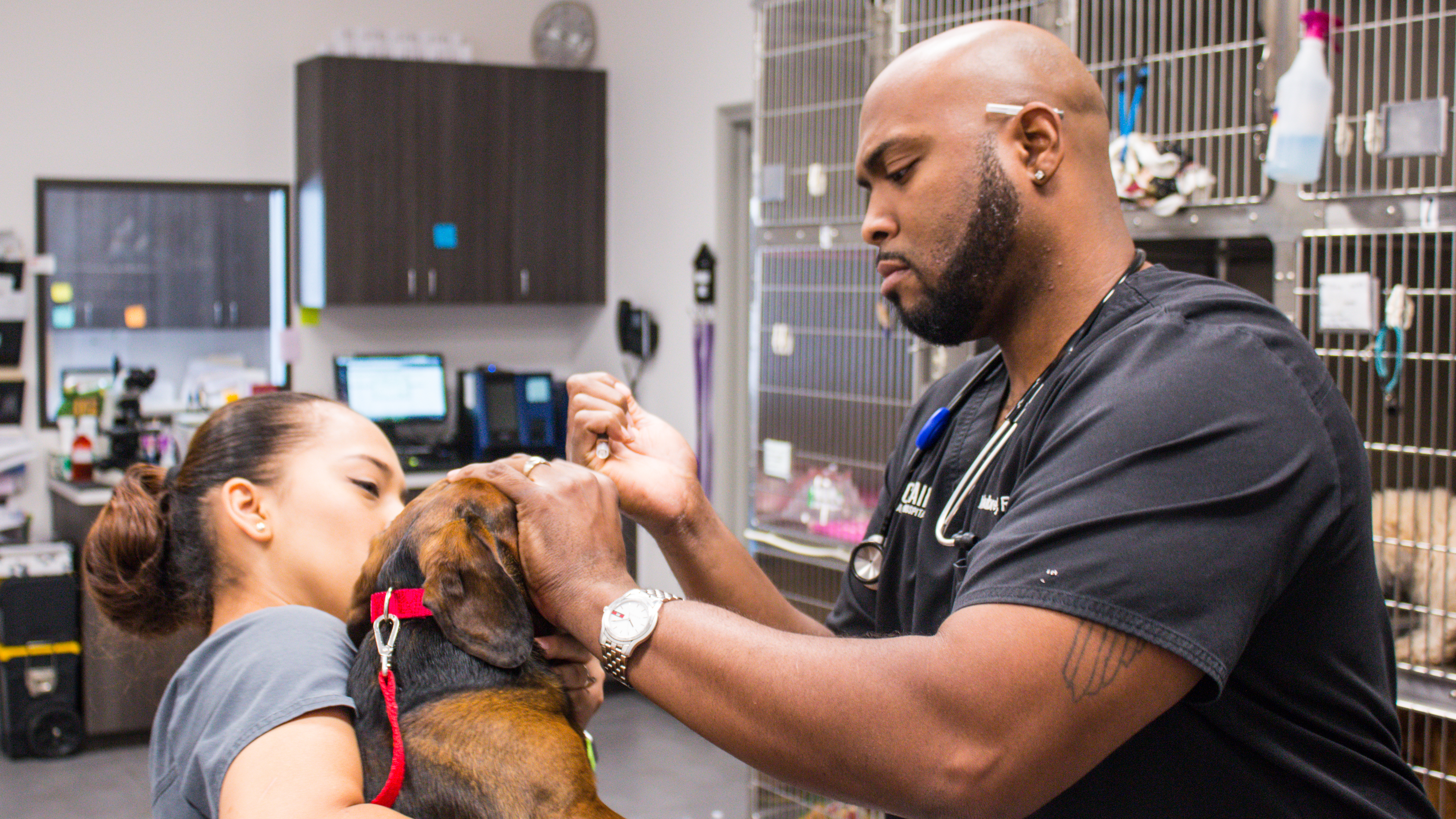 Hurricane Harvey Special