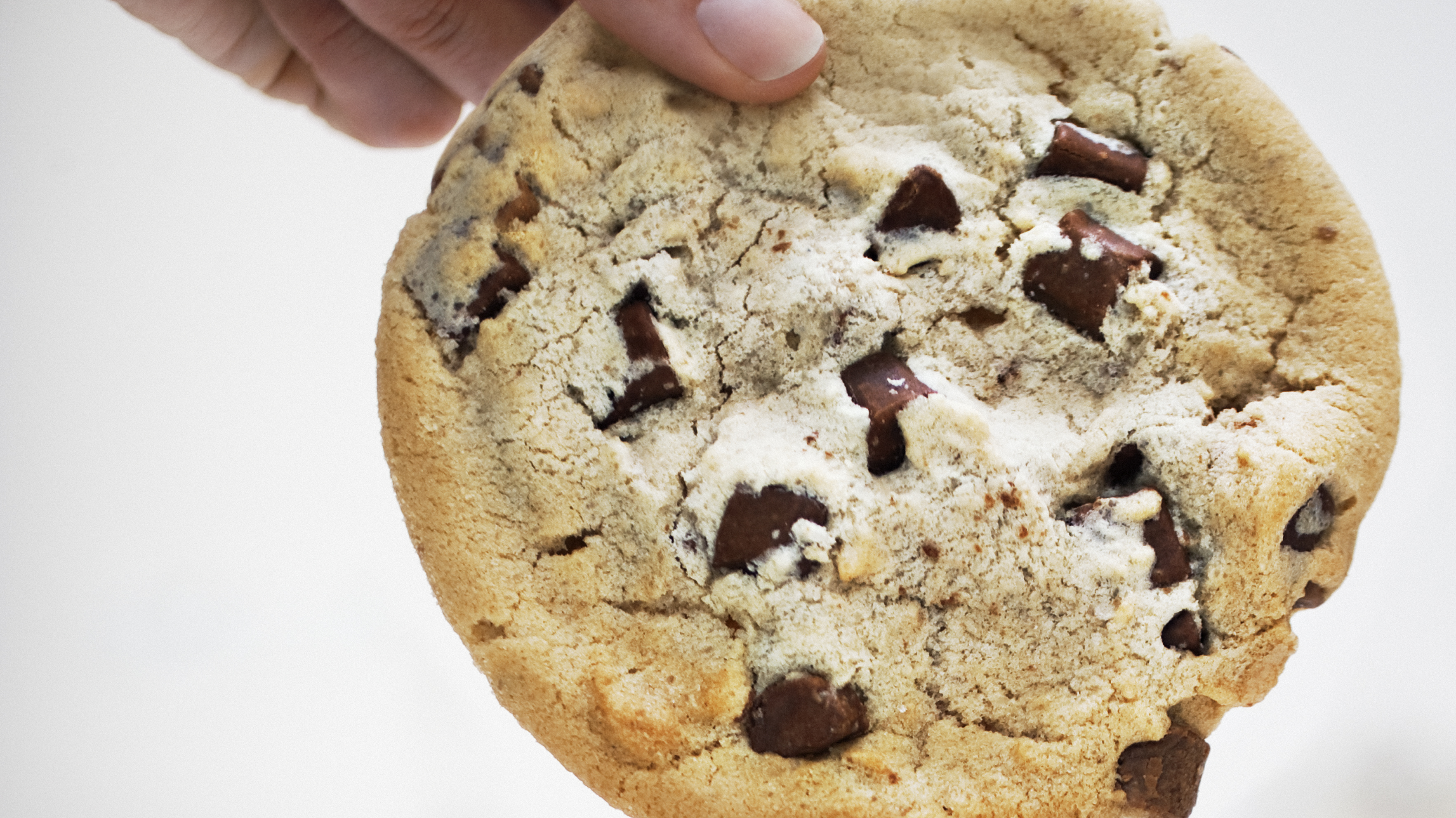 Rawhide Lampshades, Chocolate Chip Cookies, MRI Scanners