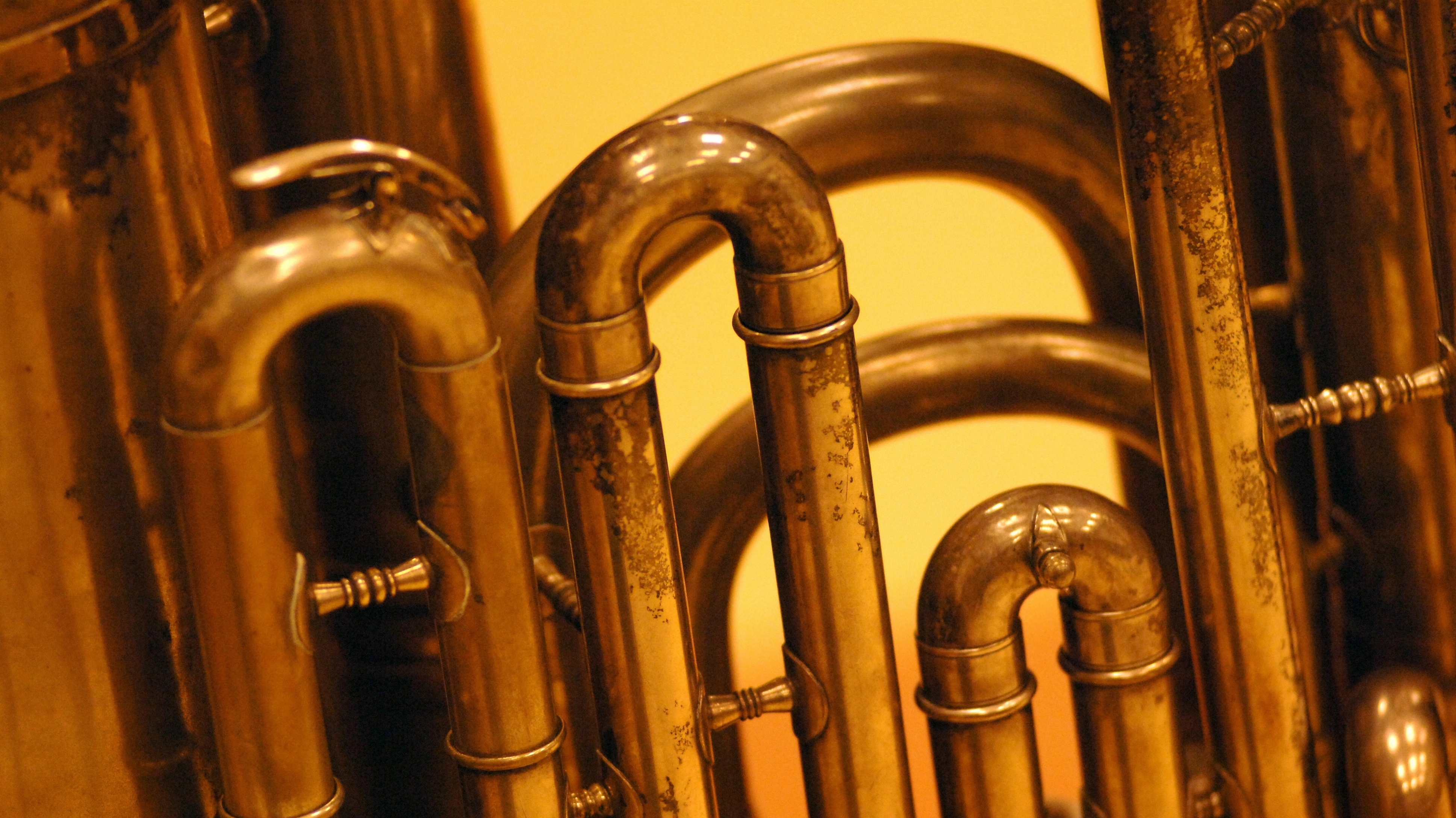Hospital Laundry, Brass Instrument Restoration, Horse Replicas