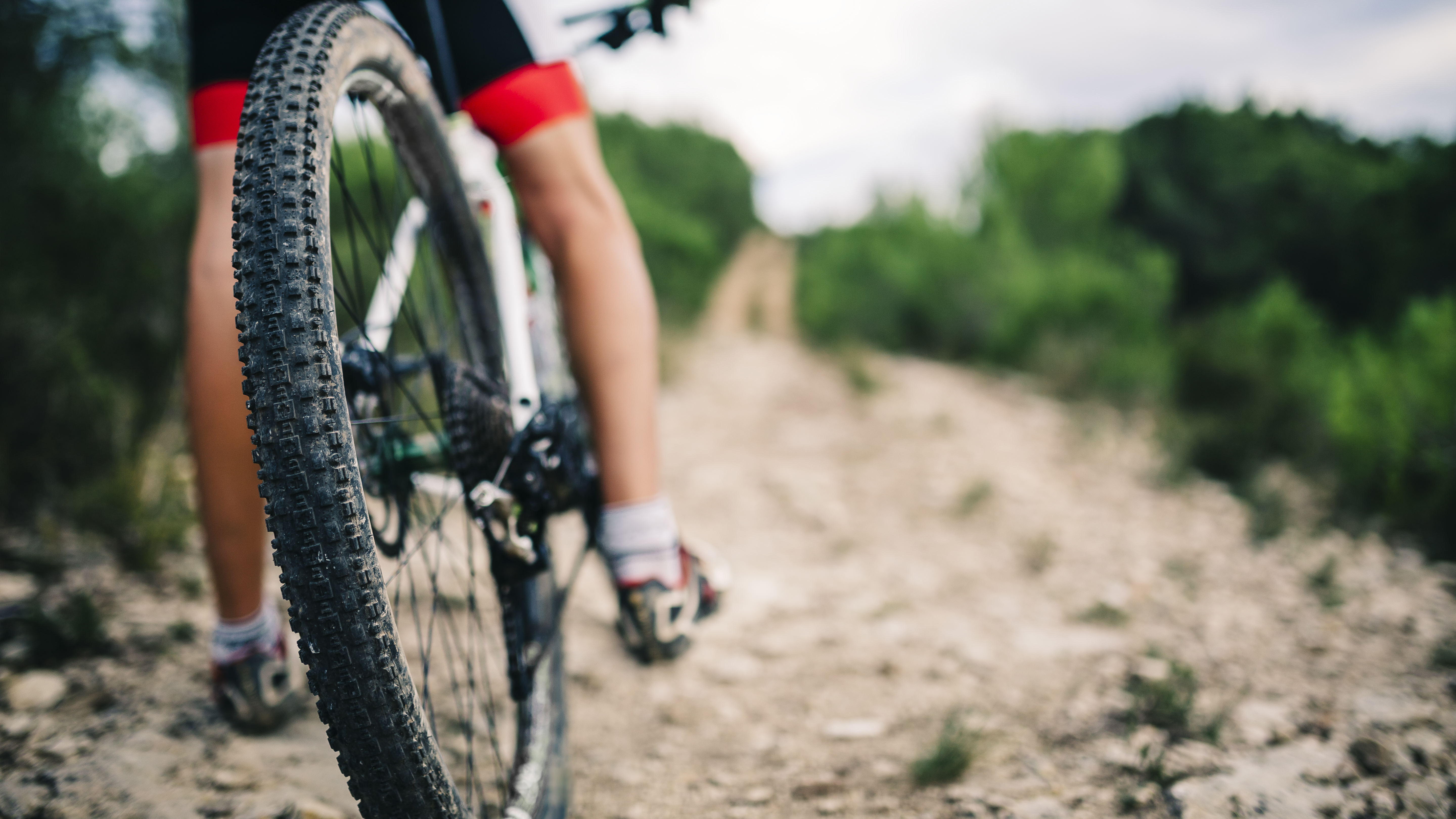 Mountain Bike Tyres