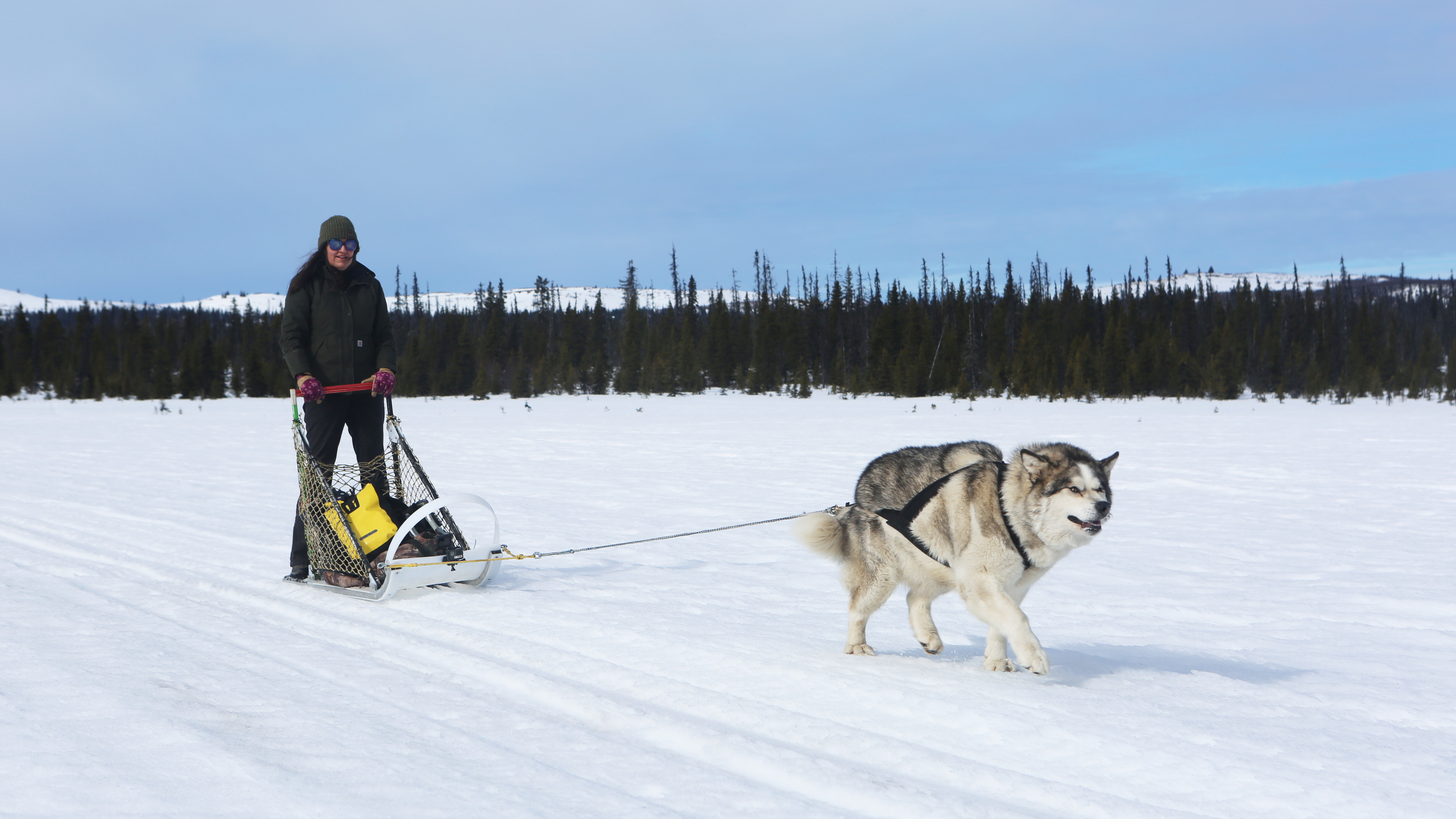 Alaska: The Last Frontier