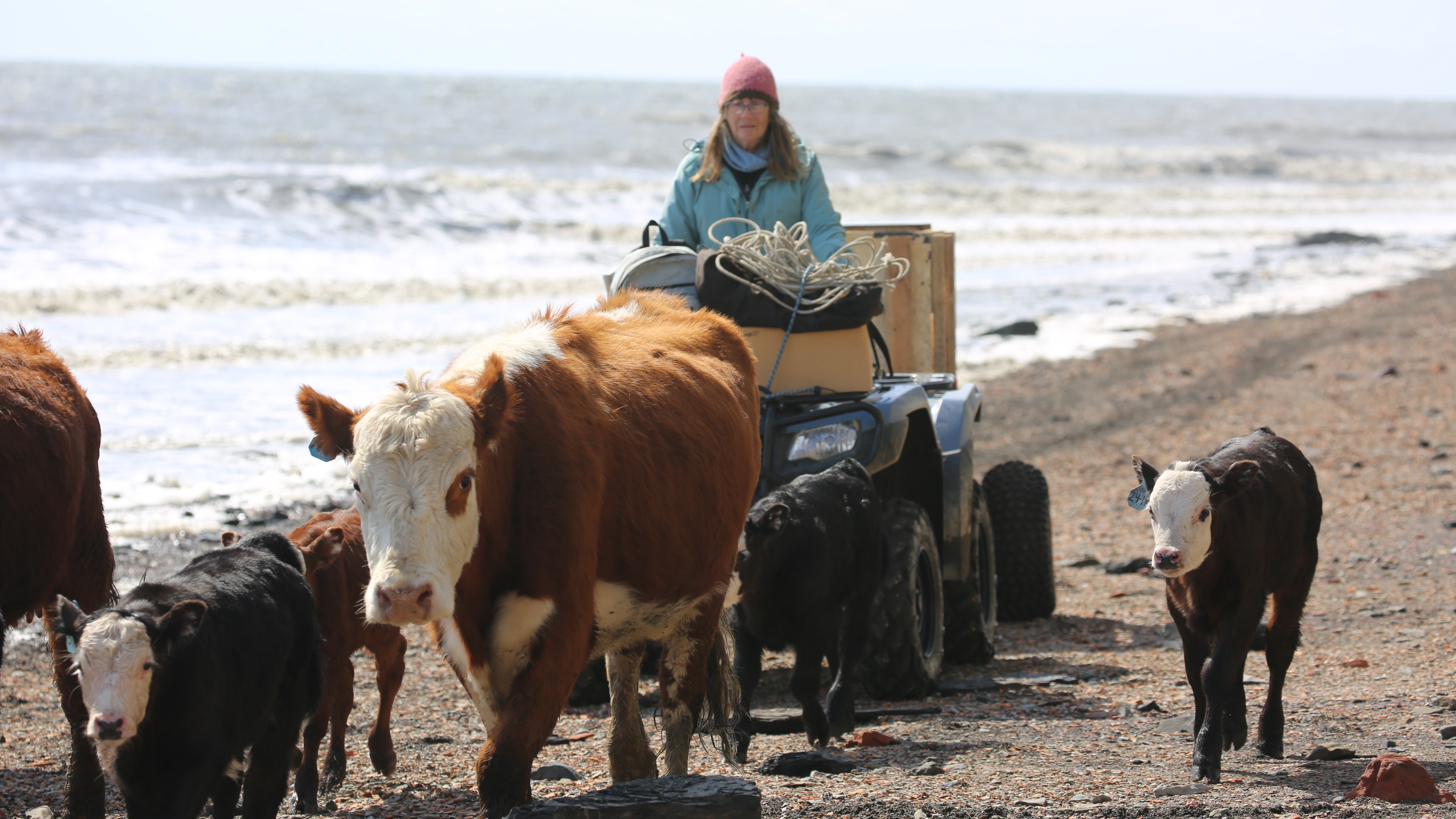 Alaska: The Last Frontier