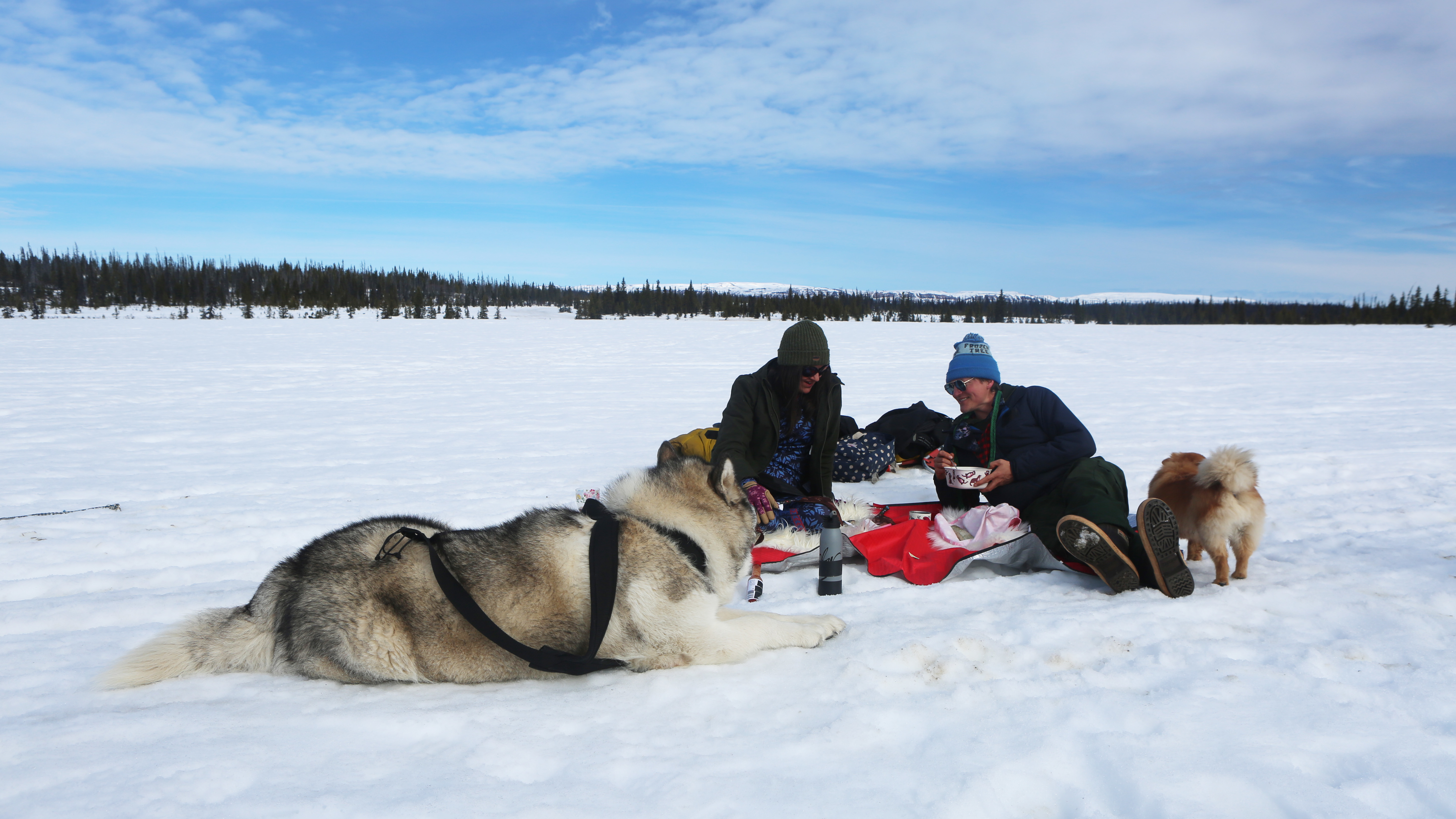 Alaska: The Last Frontier