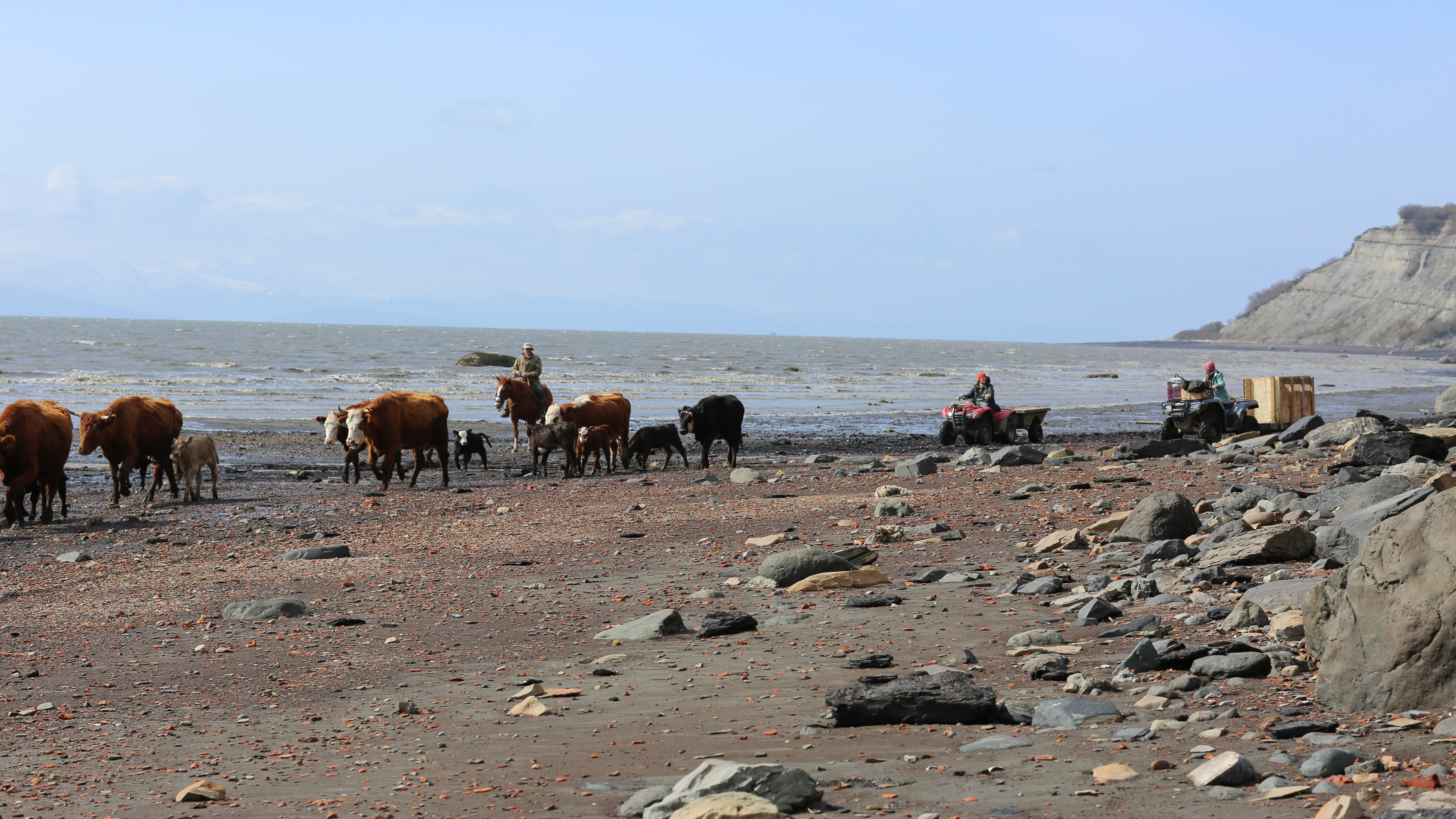 Alaska: The Last Frontier