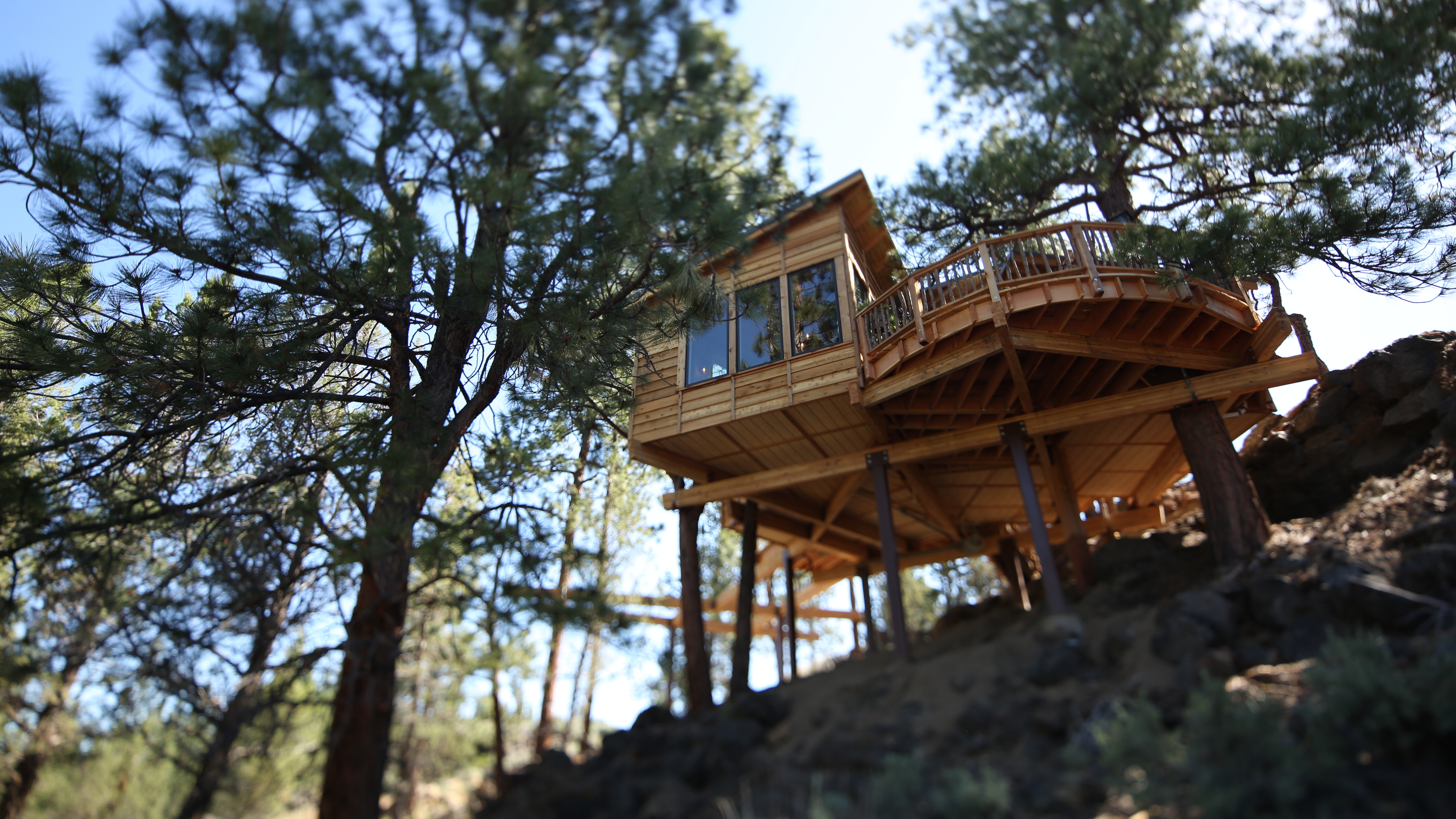 Never Too Old For A Treehouse