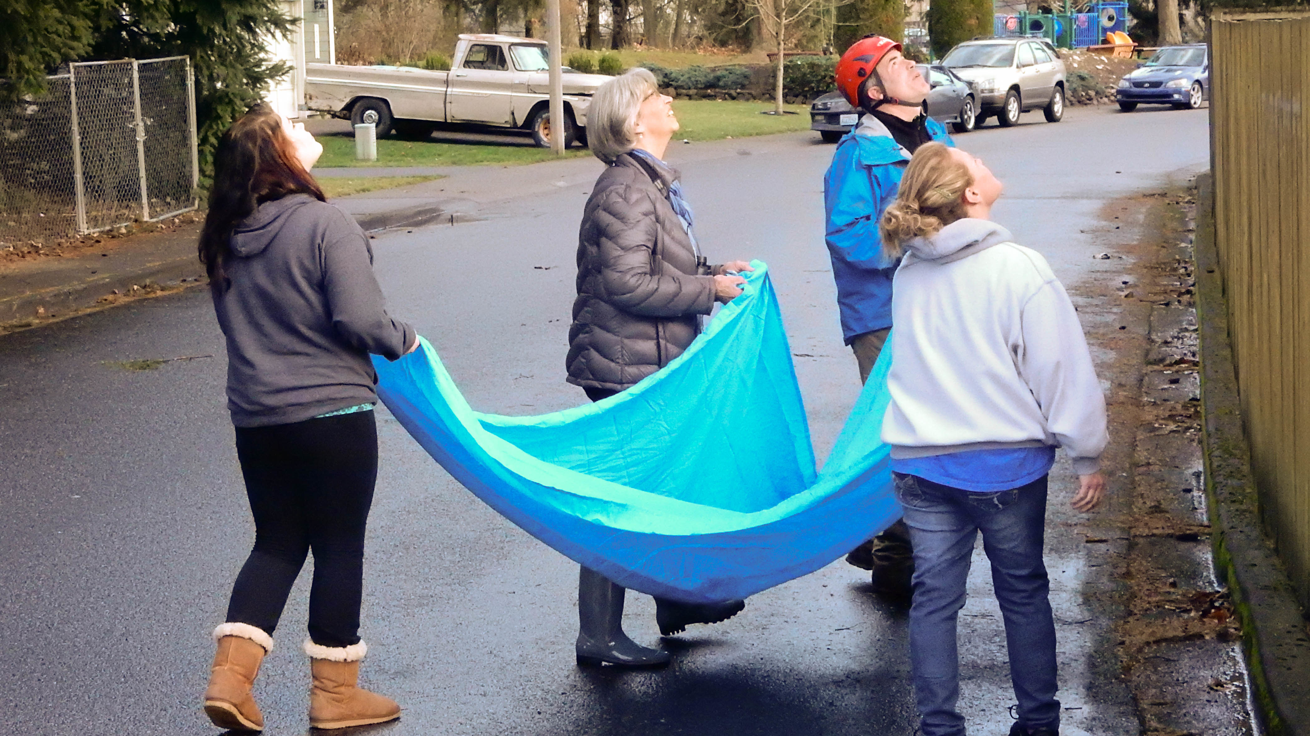 Cat Men To The Rescue