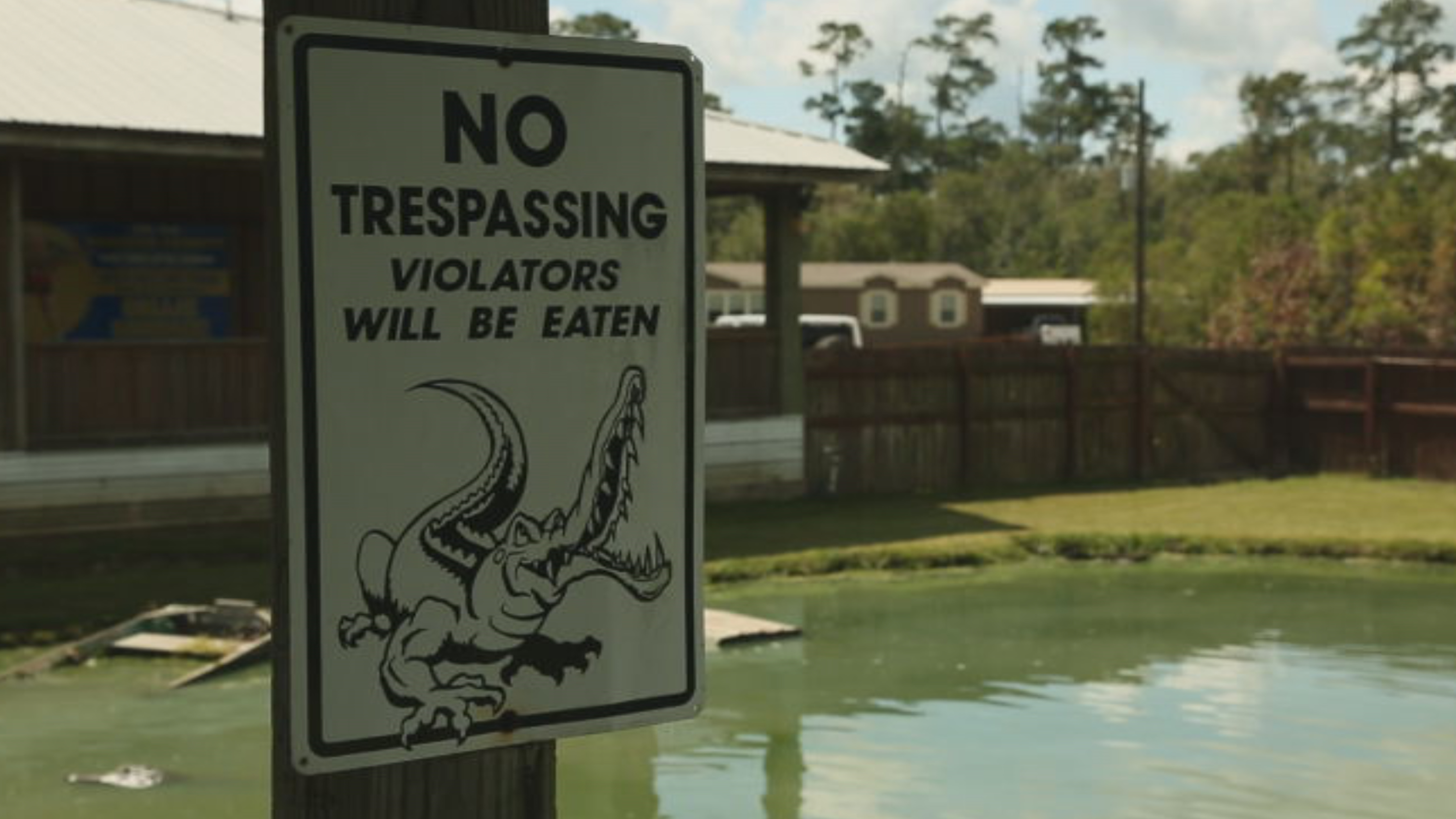 Gator VS. Game Warden