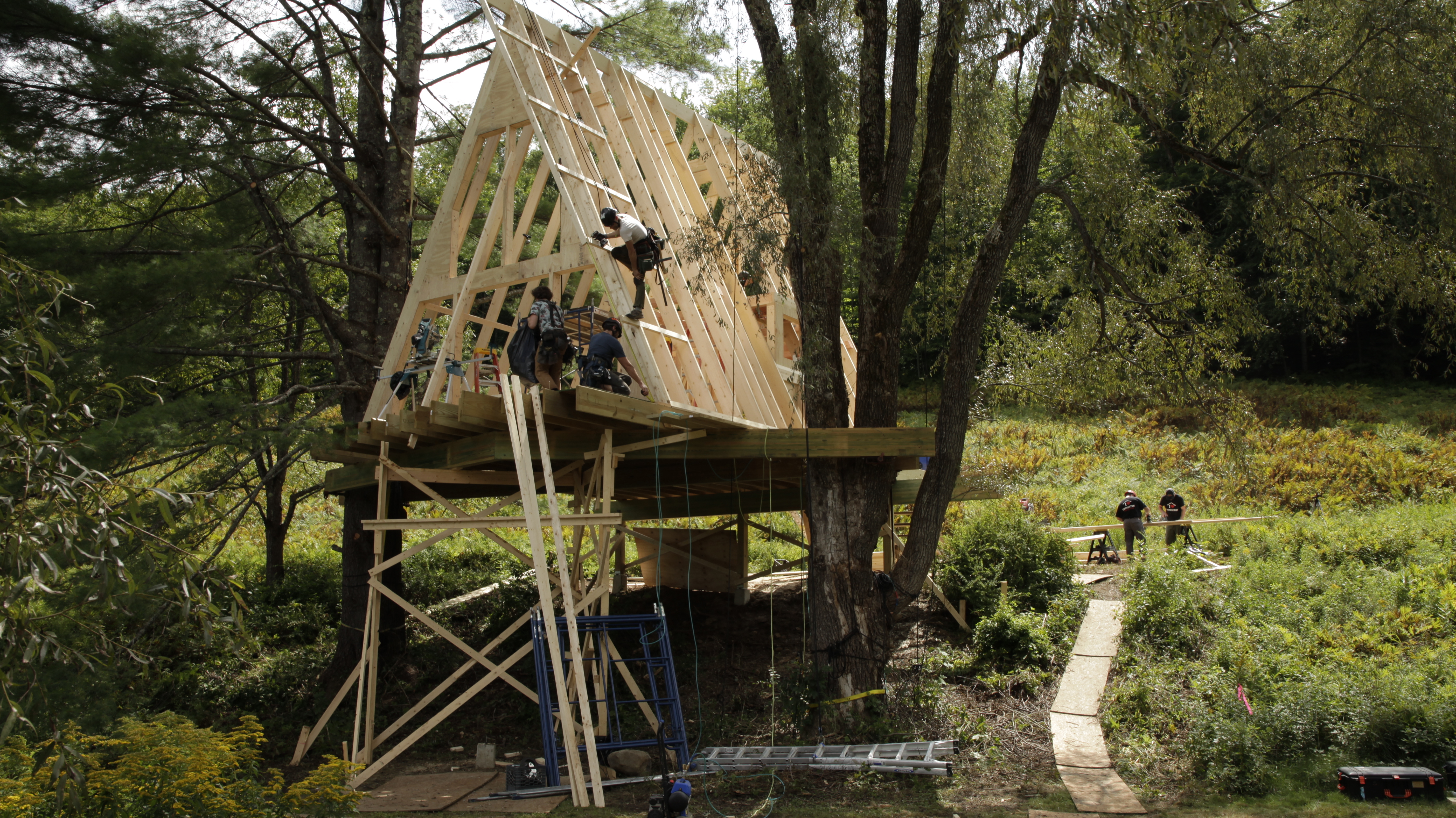 A Treehouse Production