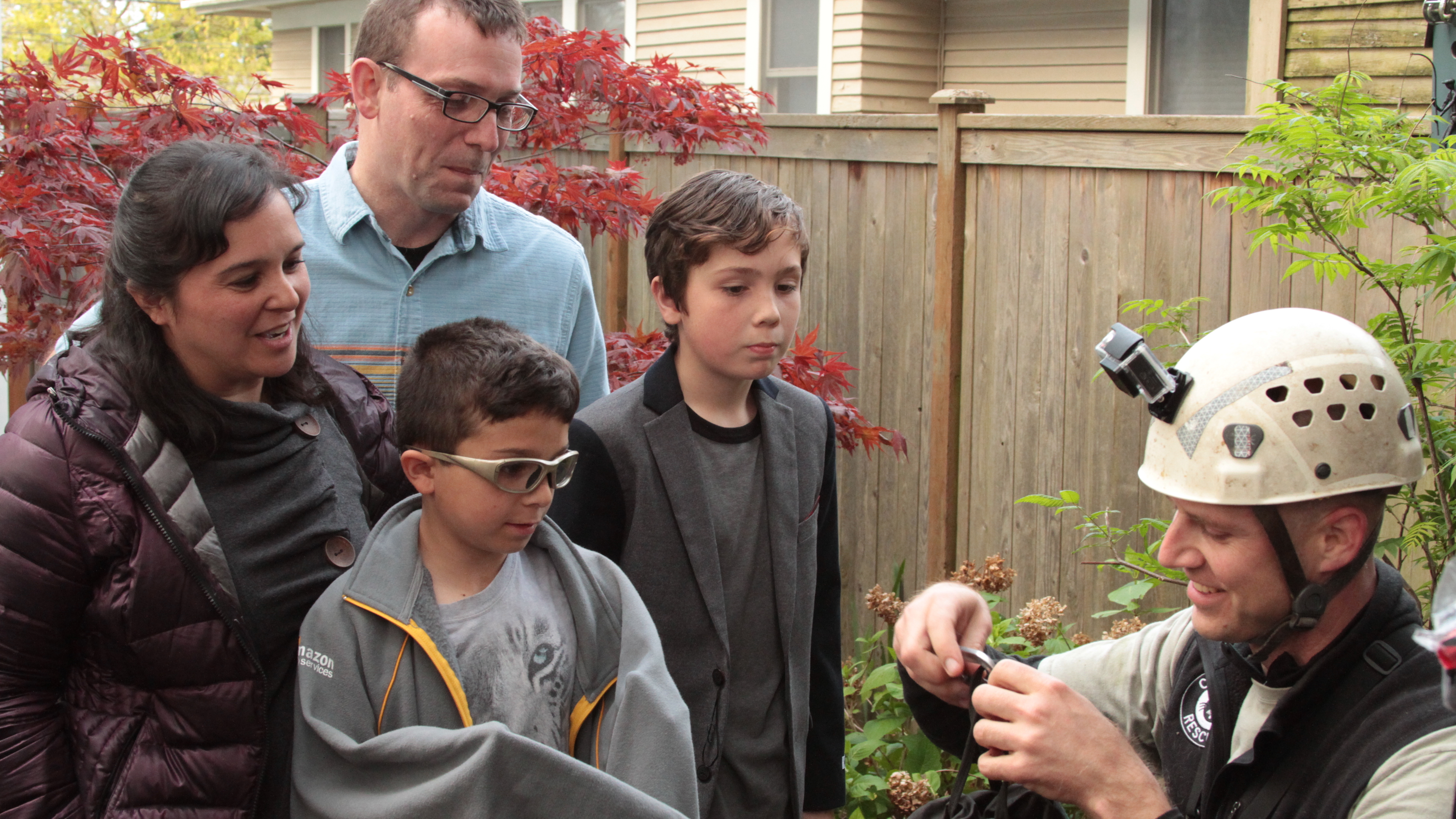 Kitty, Can You Hear Me?