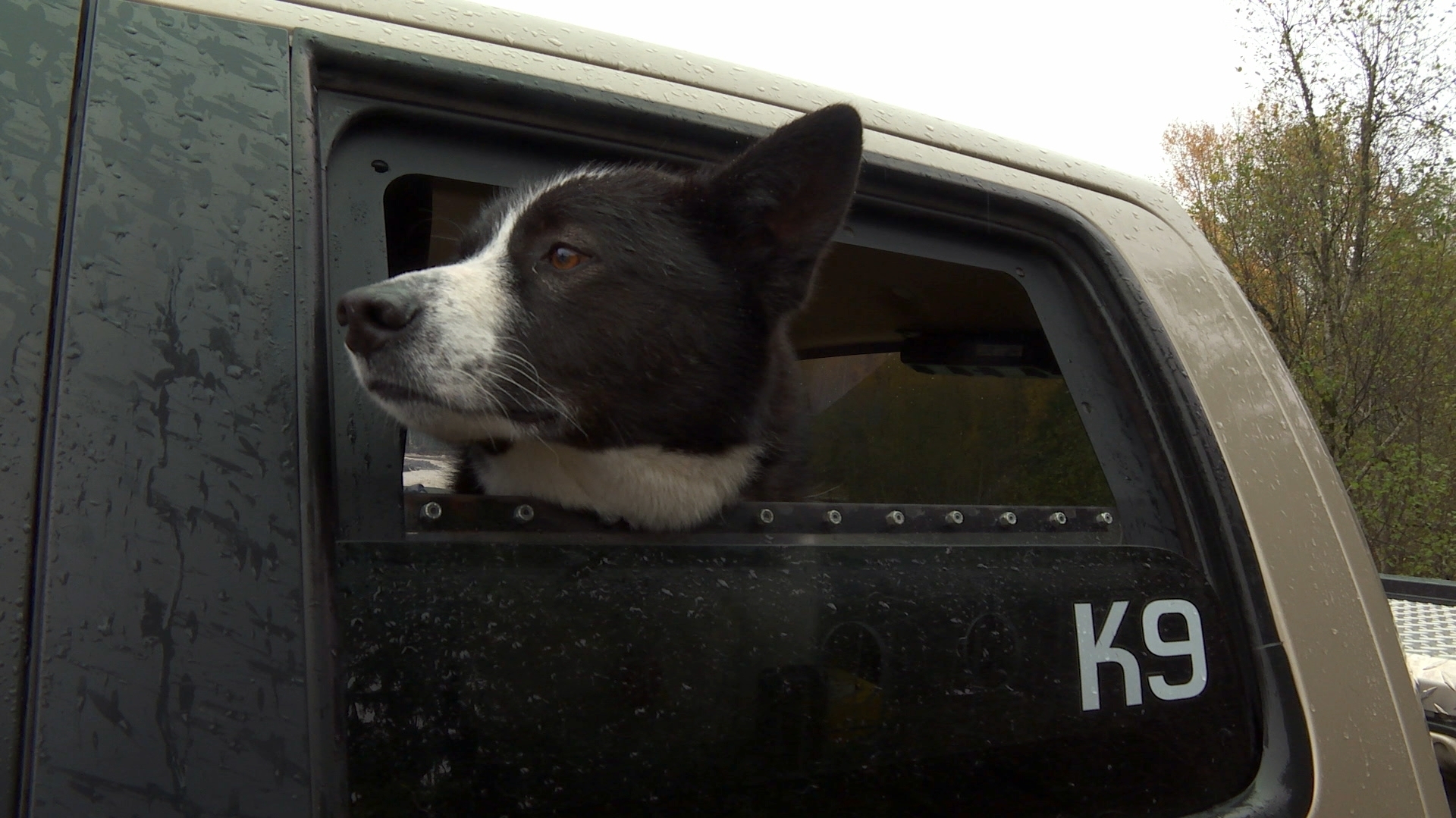 Law-Breaking Father And Daughter