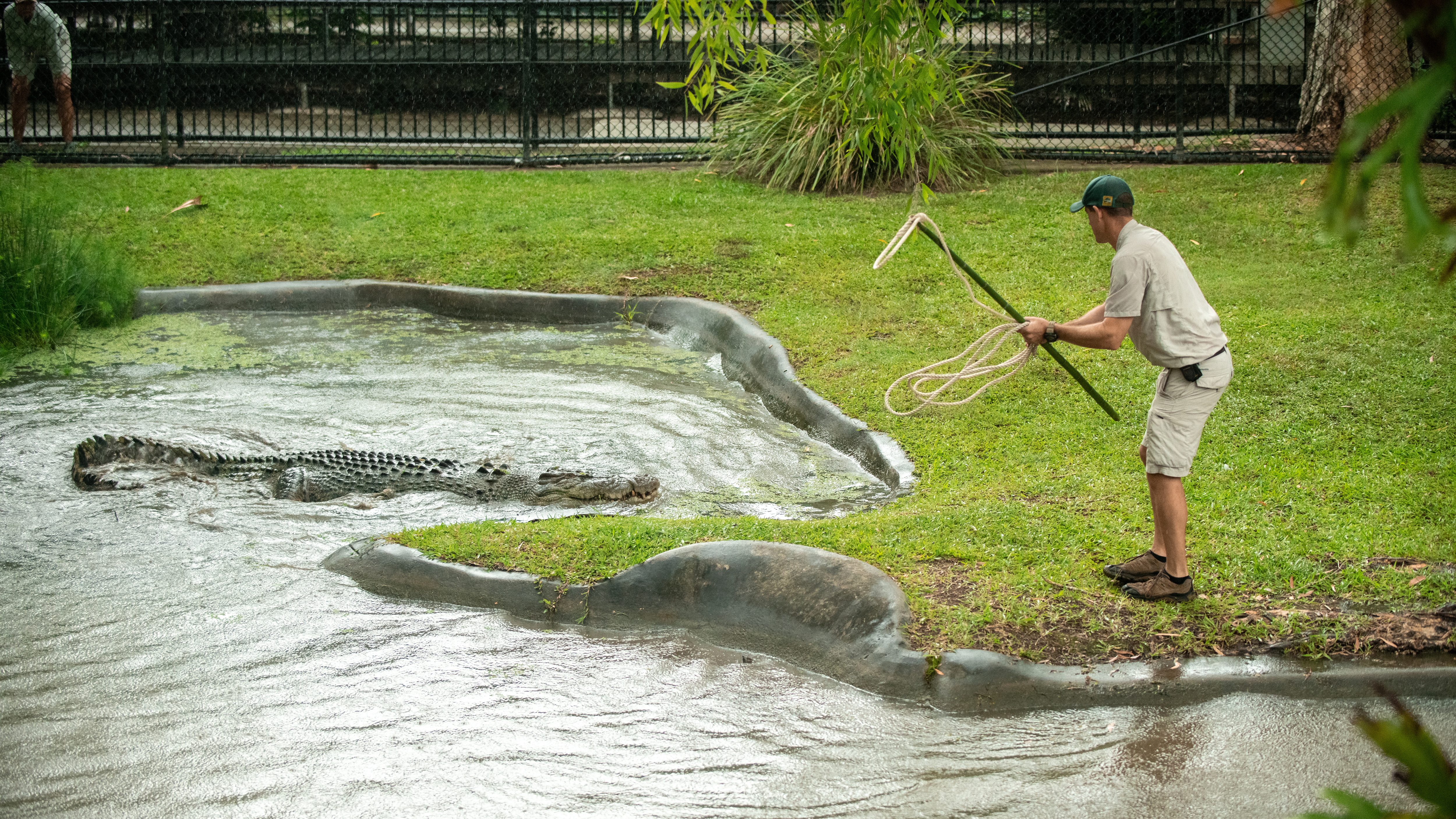 Robert And Big, Bad Bosco