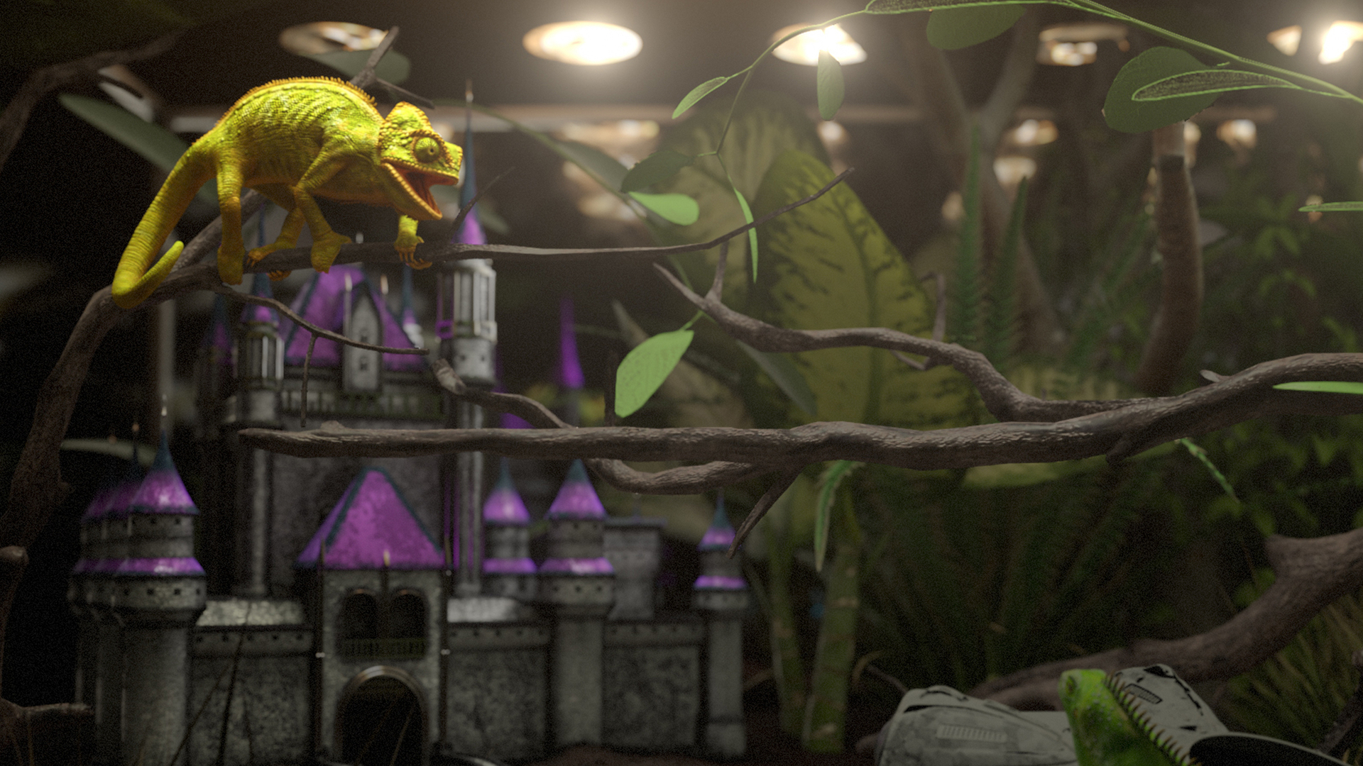 The Incredible Bearded Dragons!