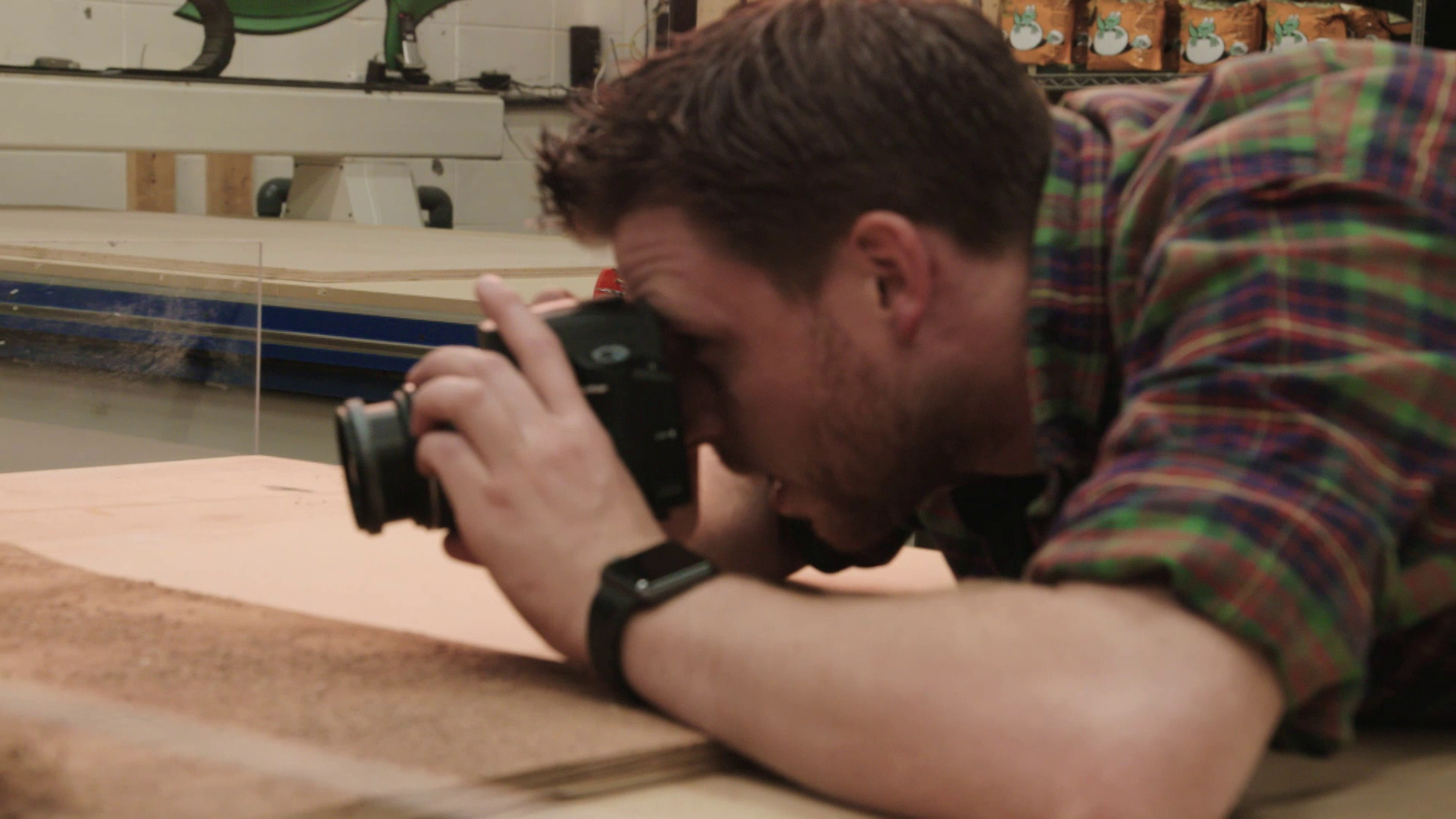 Monkey-Tailed Skink Adventure