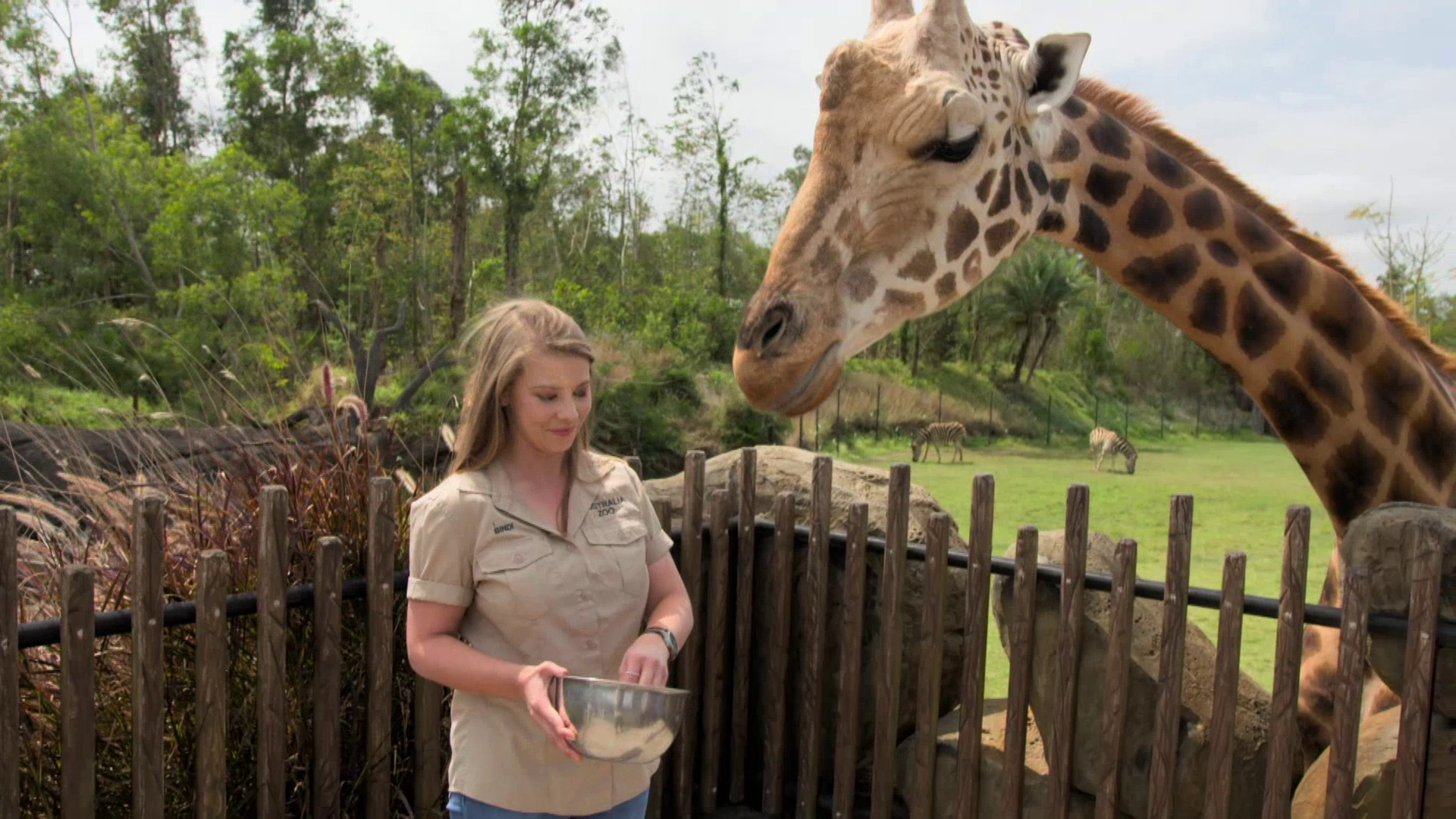 Crikey! It’s the Irwins It’s A Baby Giraffe!
