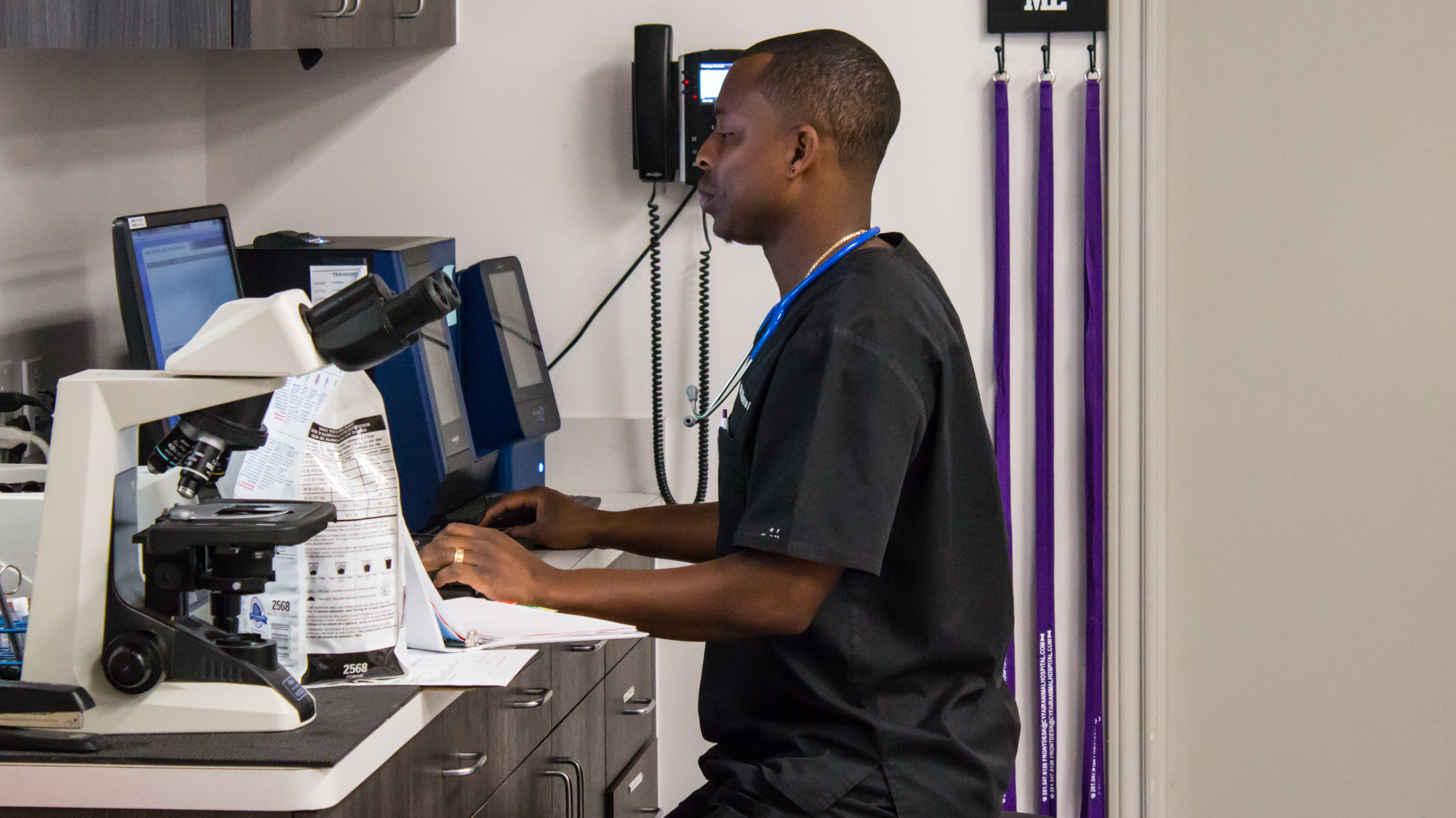 Hog Wild And Home Free