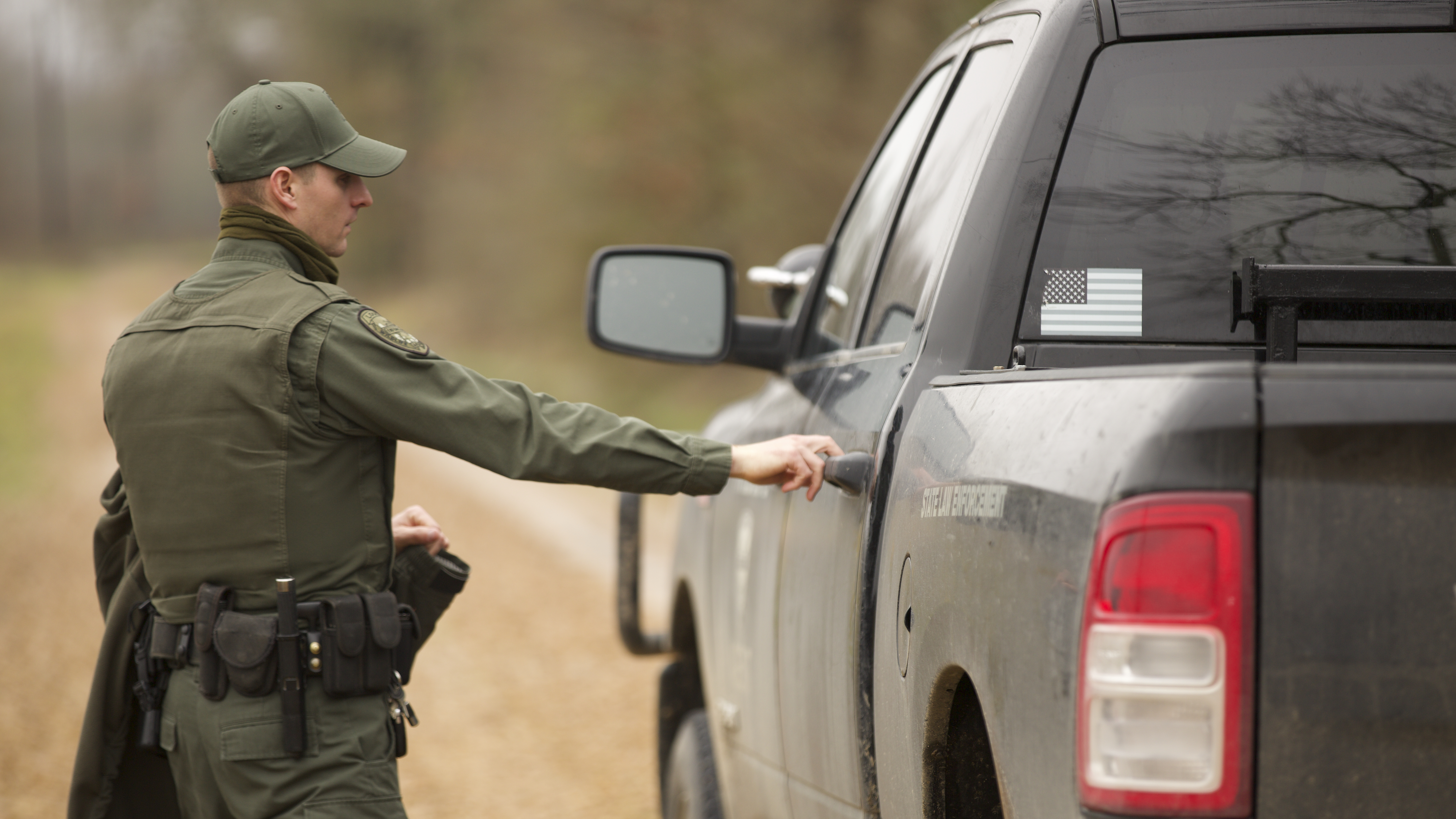 Deer In The Headlights