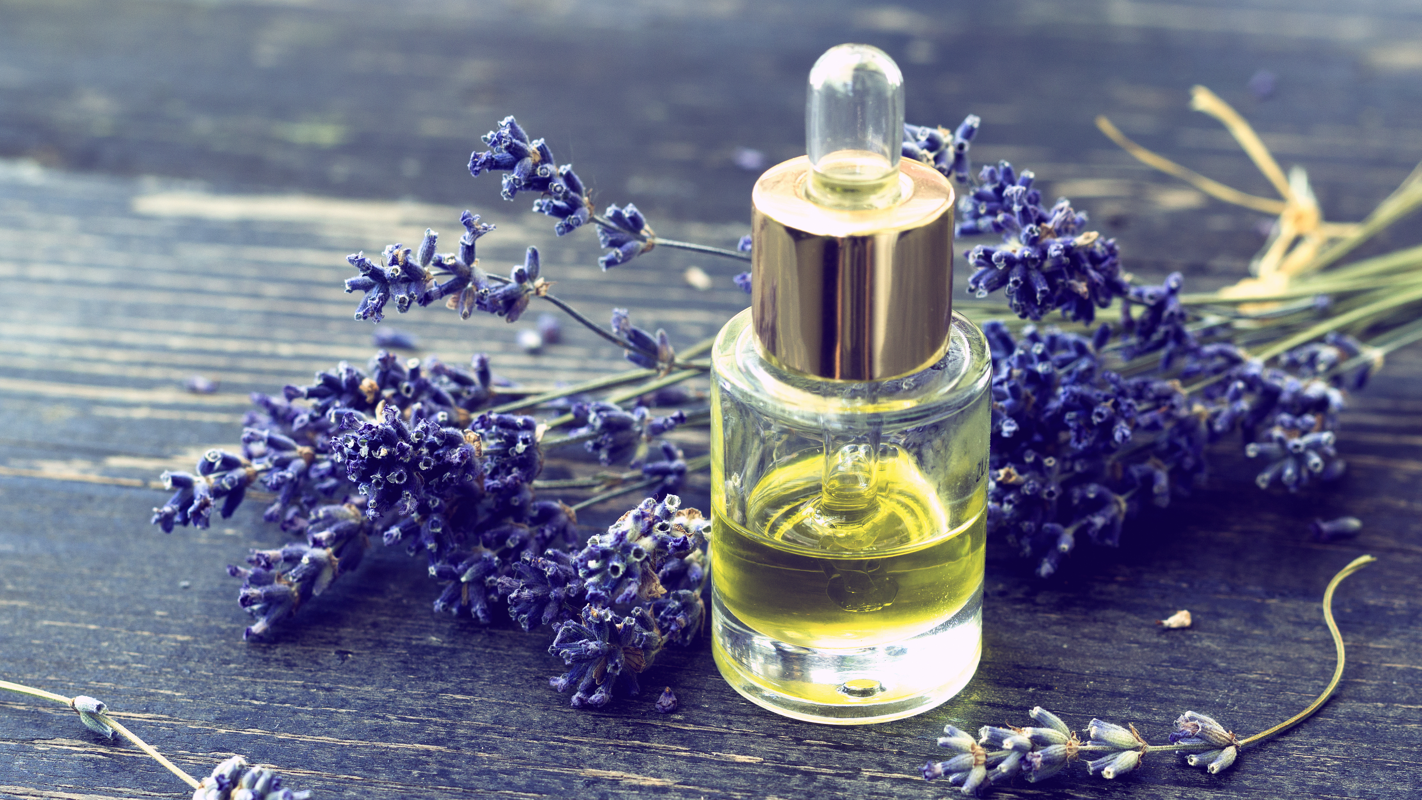 Knee Replacements, Leaf Springs, Lavender Oil