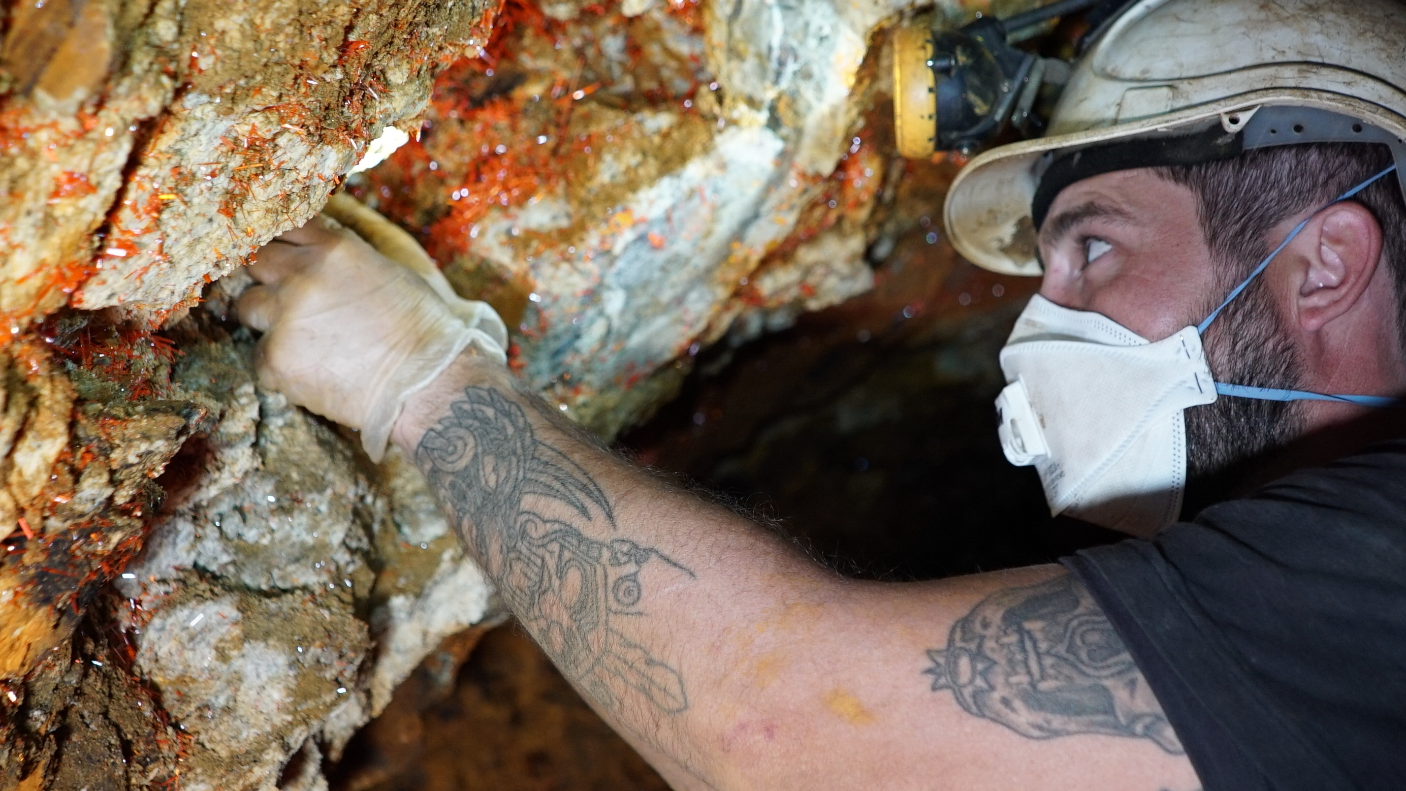 Deadly Crocs – Dangerous Air