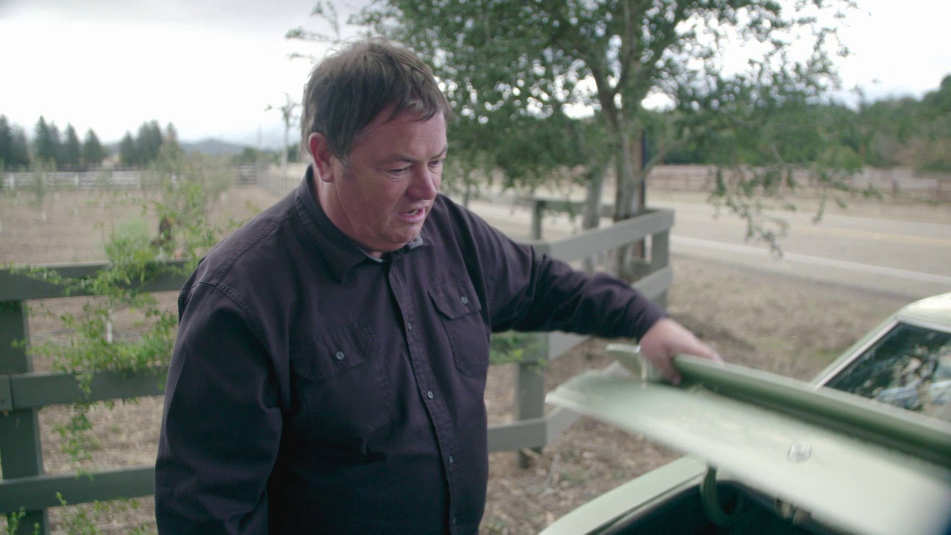 Wheeler Dealers