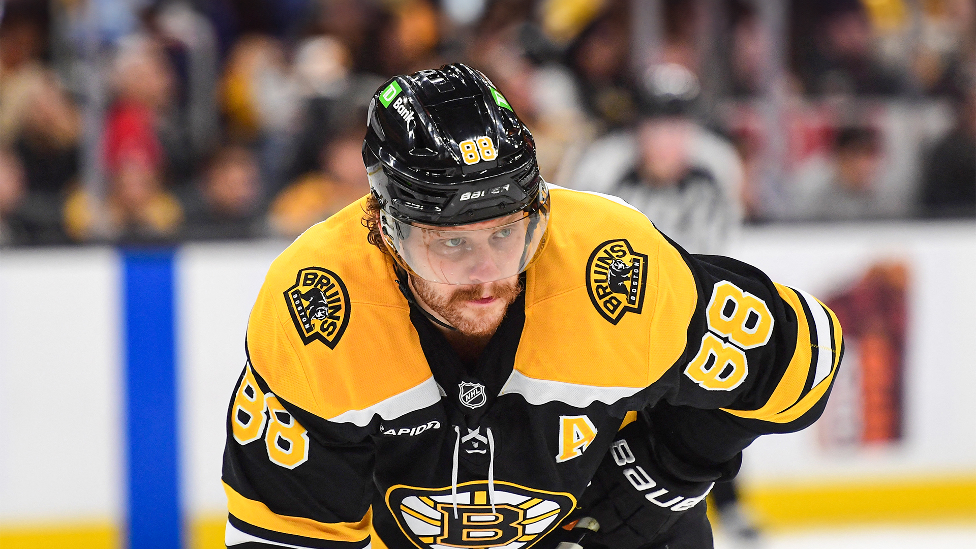 Boston Bruins - Carolina Hurricanes