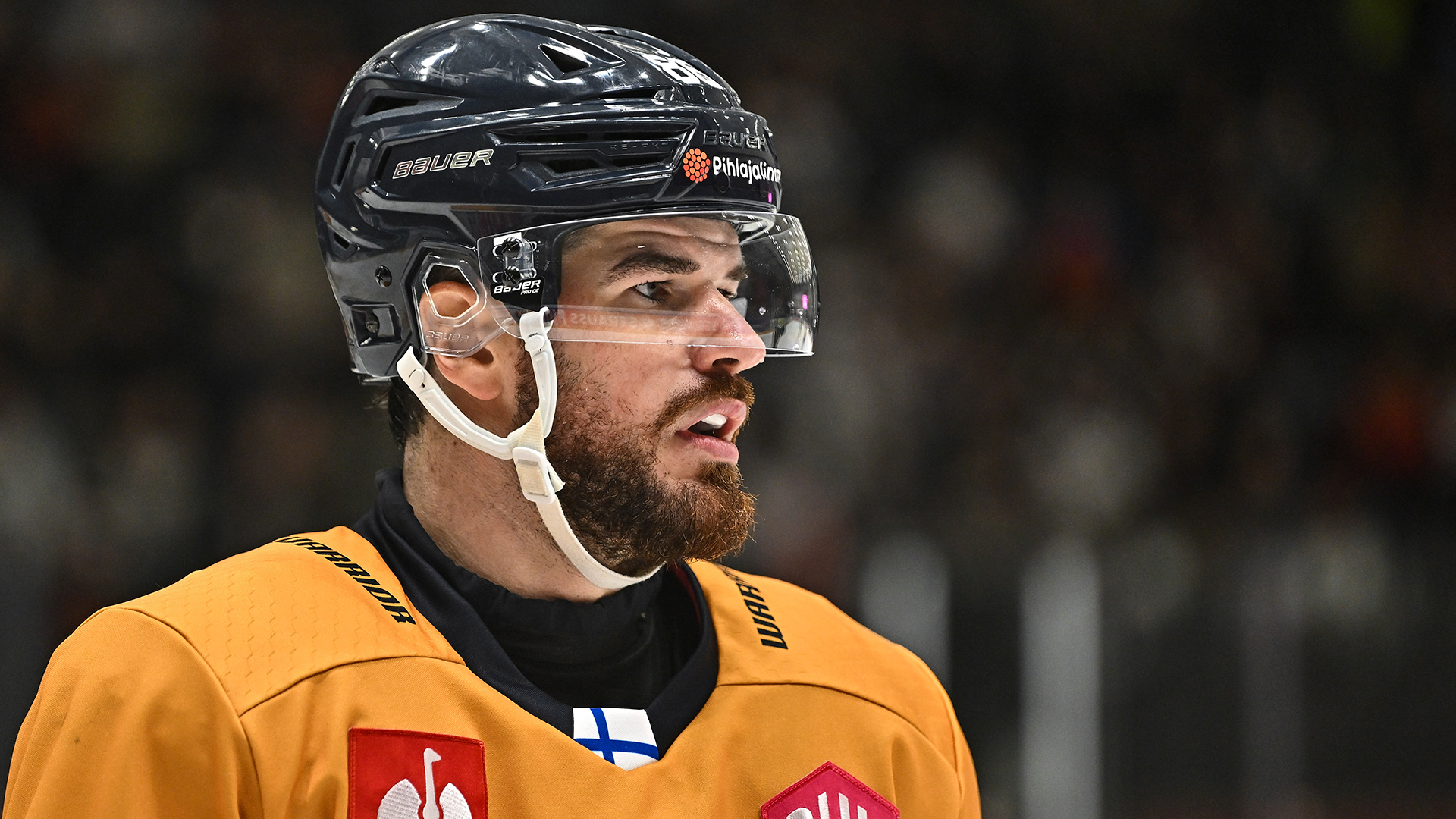 CHL – Lukko - Storhamar Hamar