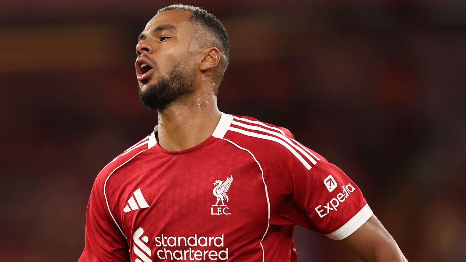Valioliiga – Liverpool - Tottenham