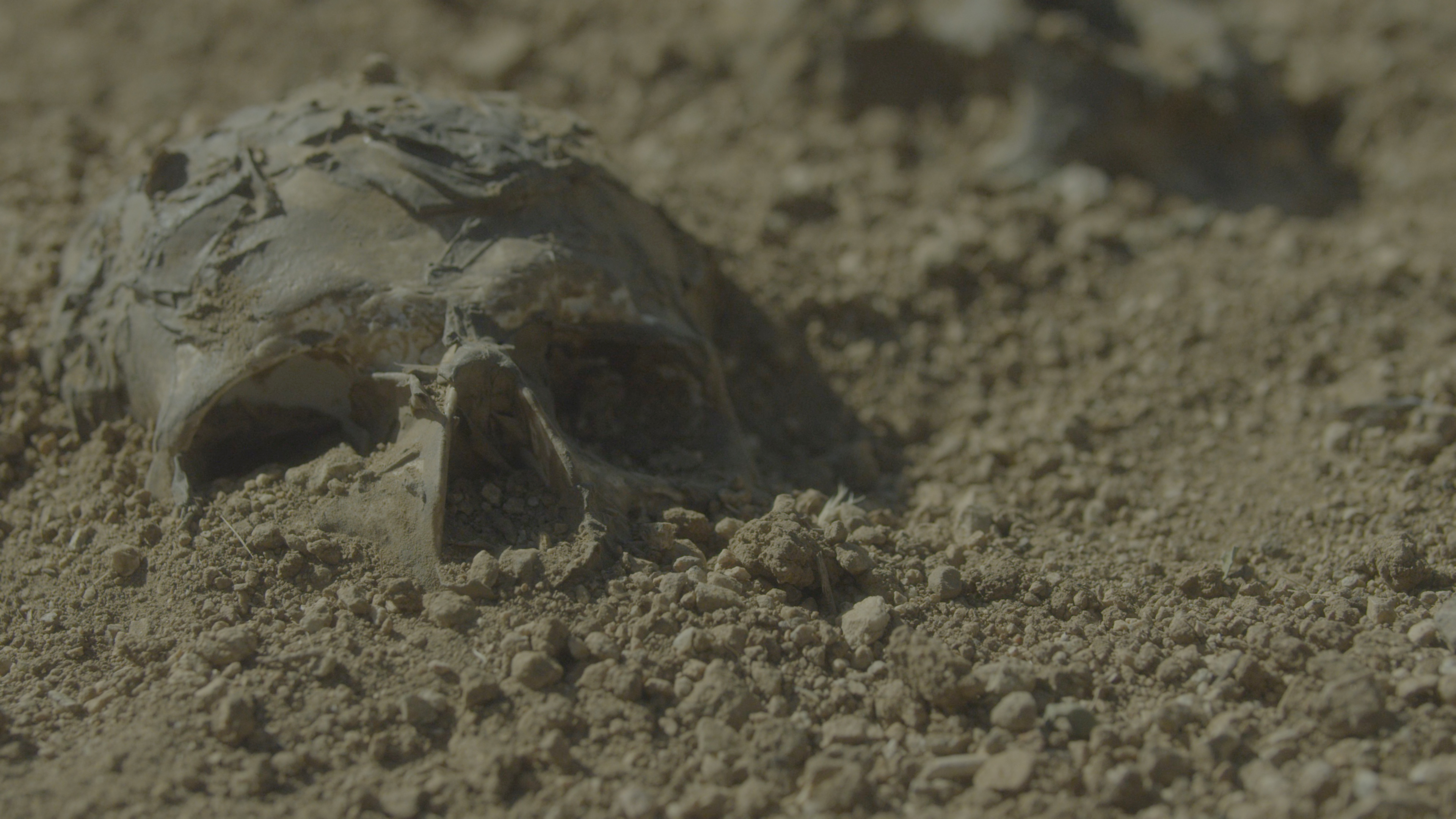 Shallow Grave: People Magazine Investigates