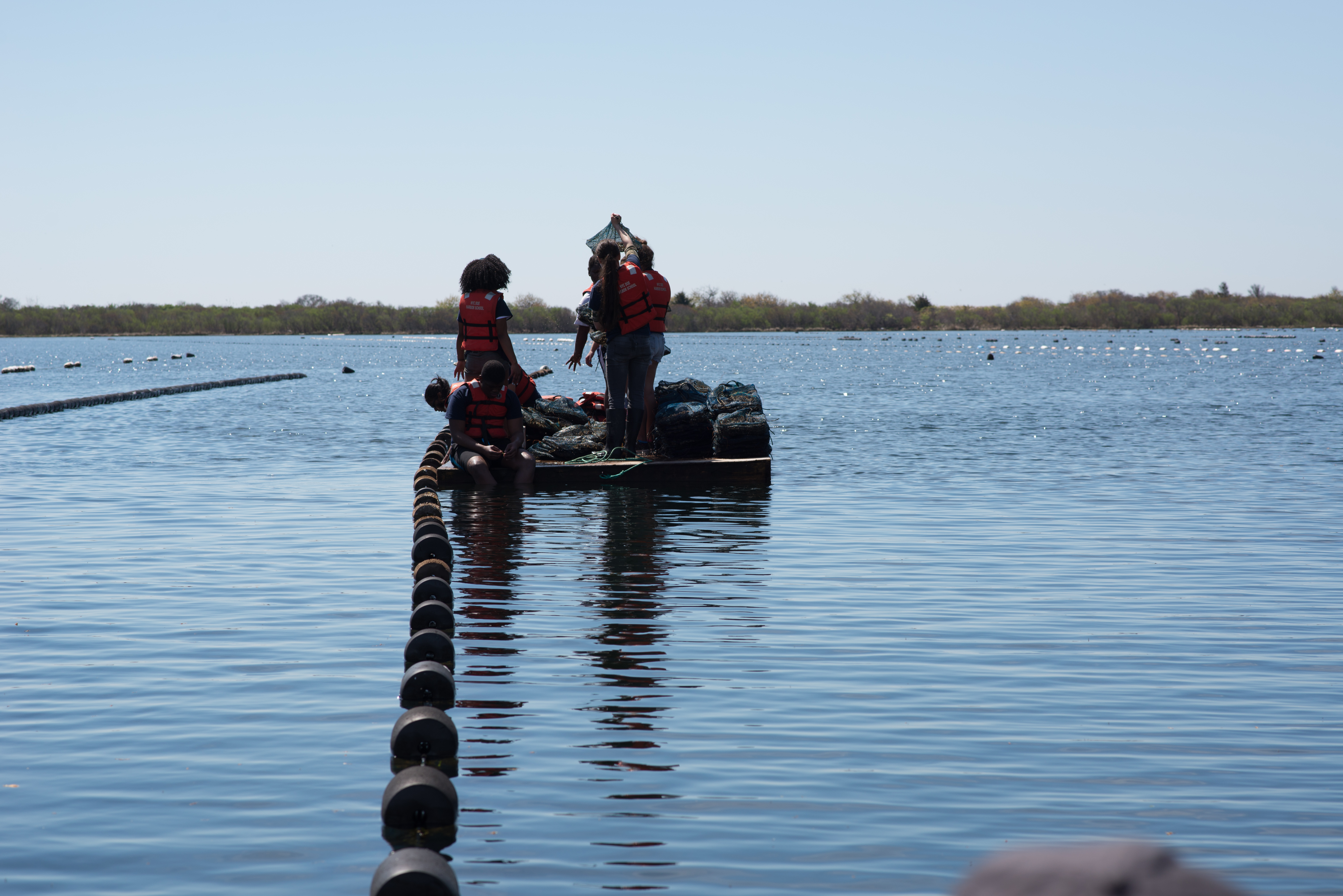 Take Back the Harbour