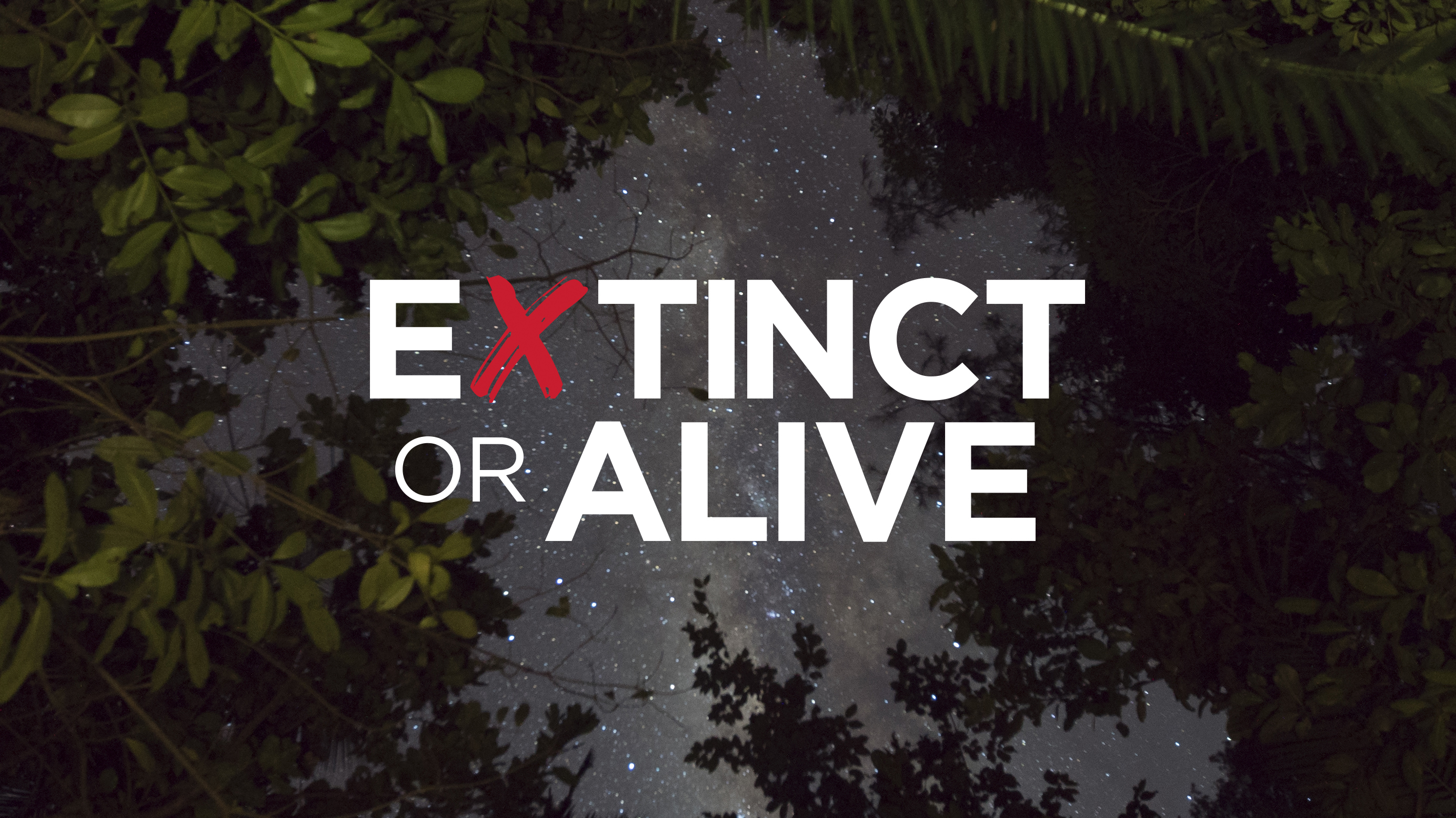 Extinct Or Alive: The Lost Shark
