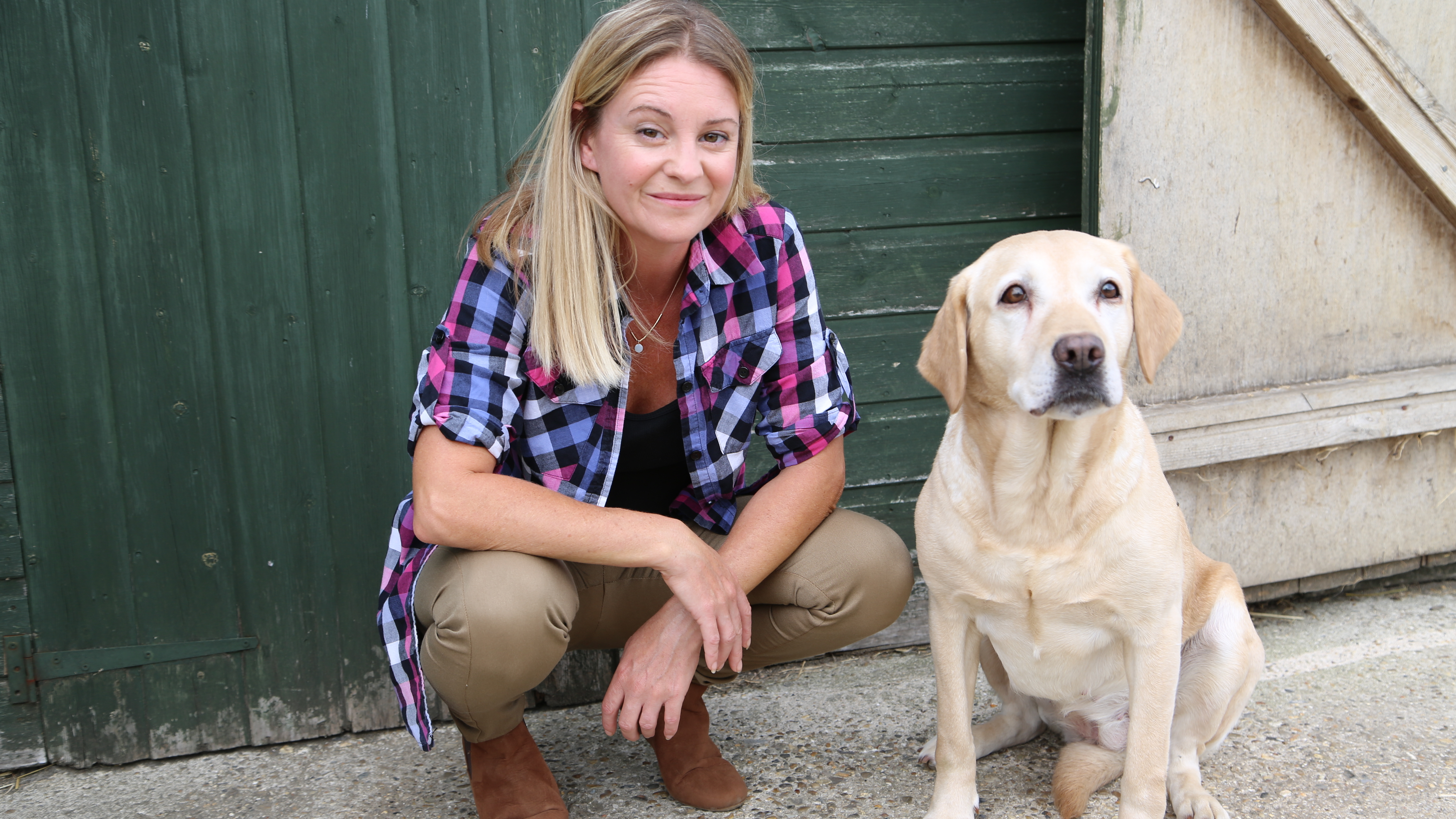 They Came from Below