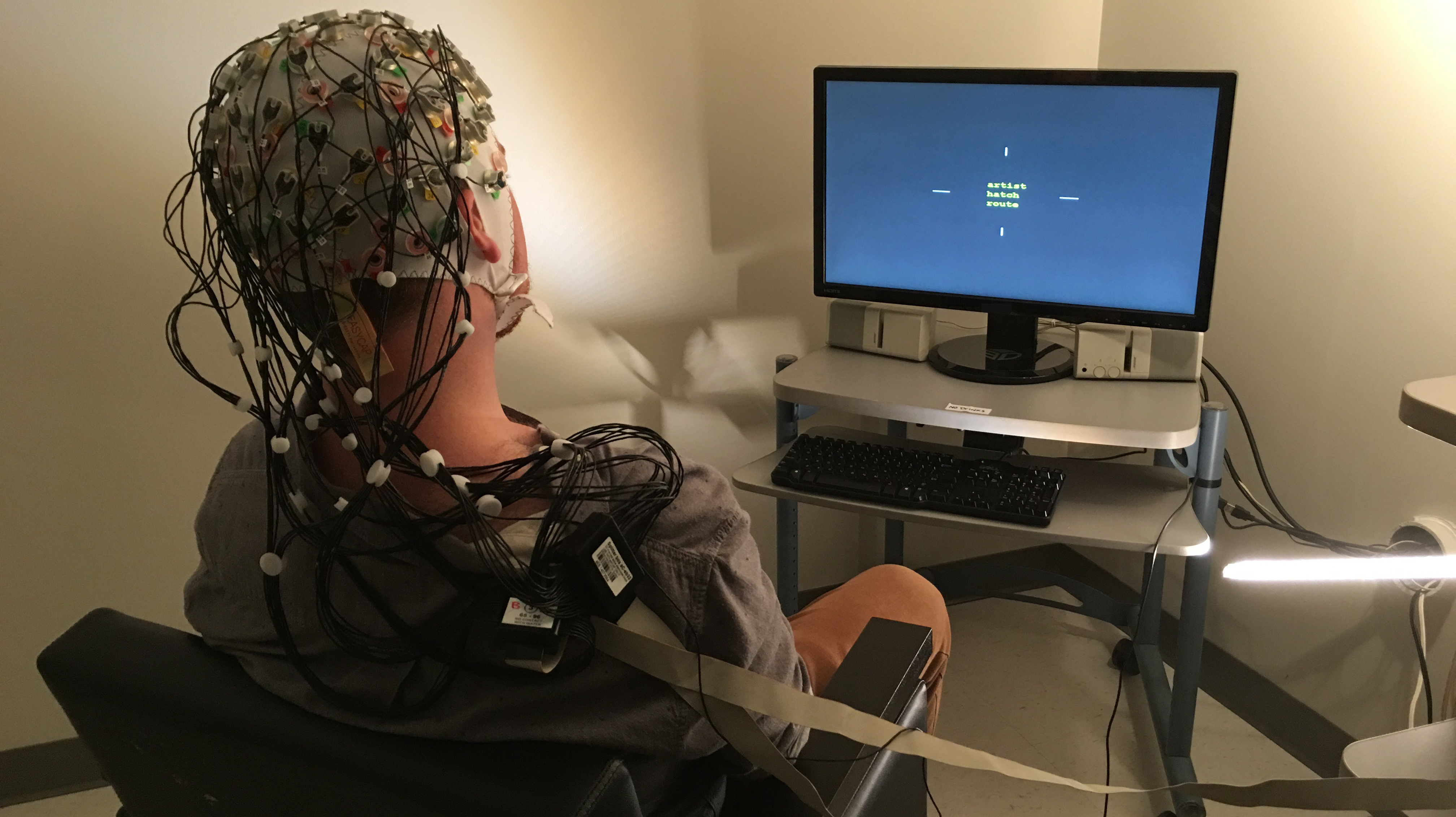 Can We All Become Geniuses?