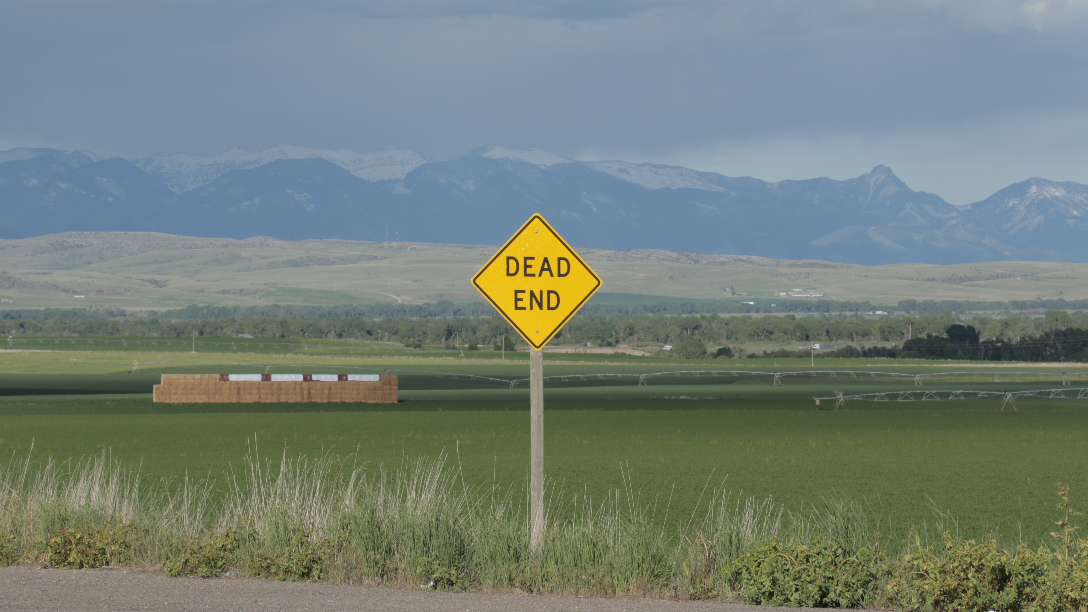 Killing Meriwether Lewis