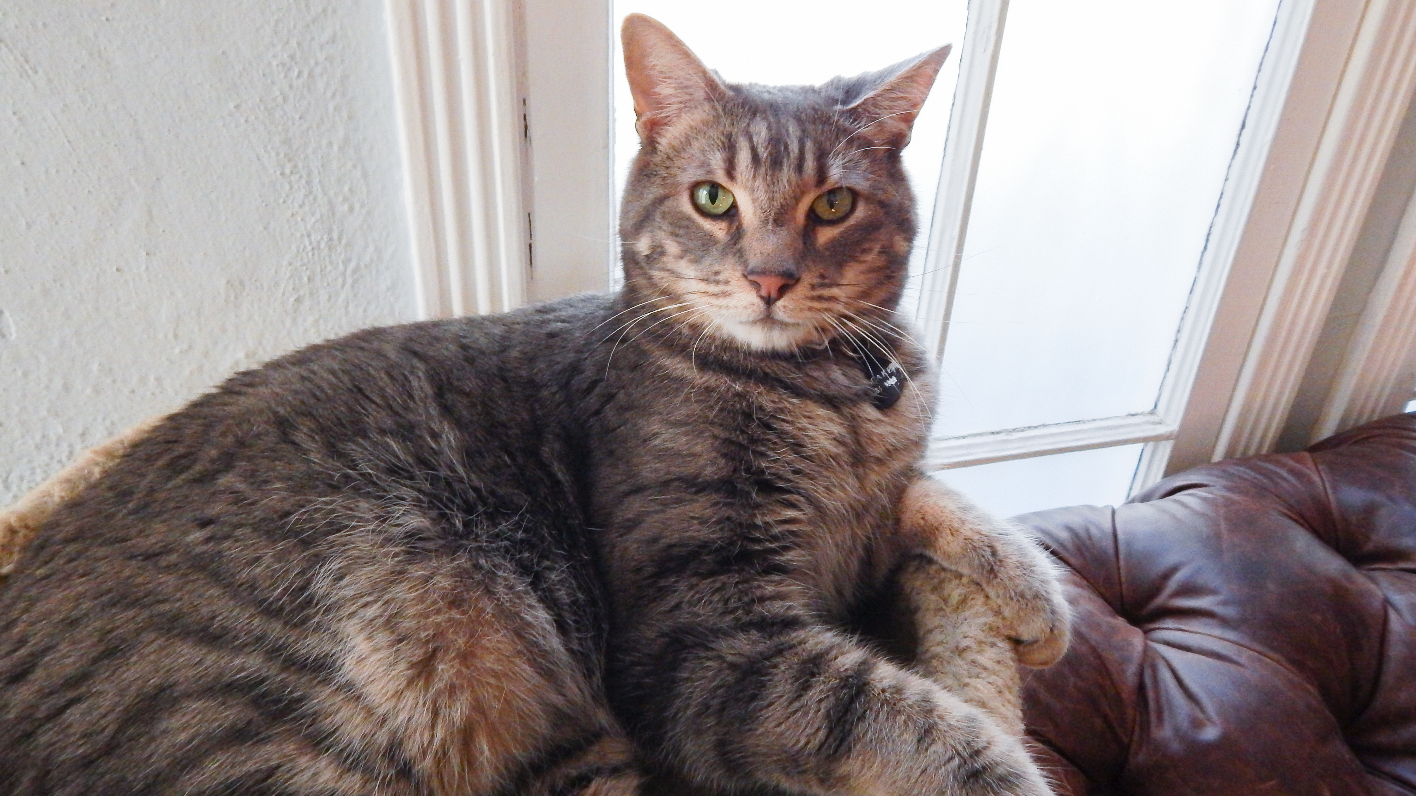 Multi-Million Dollar Nightmare