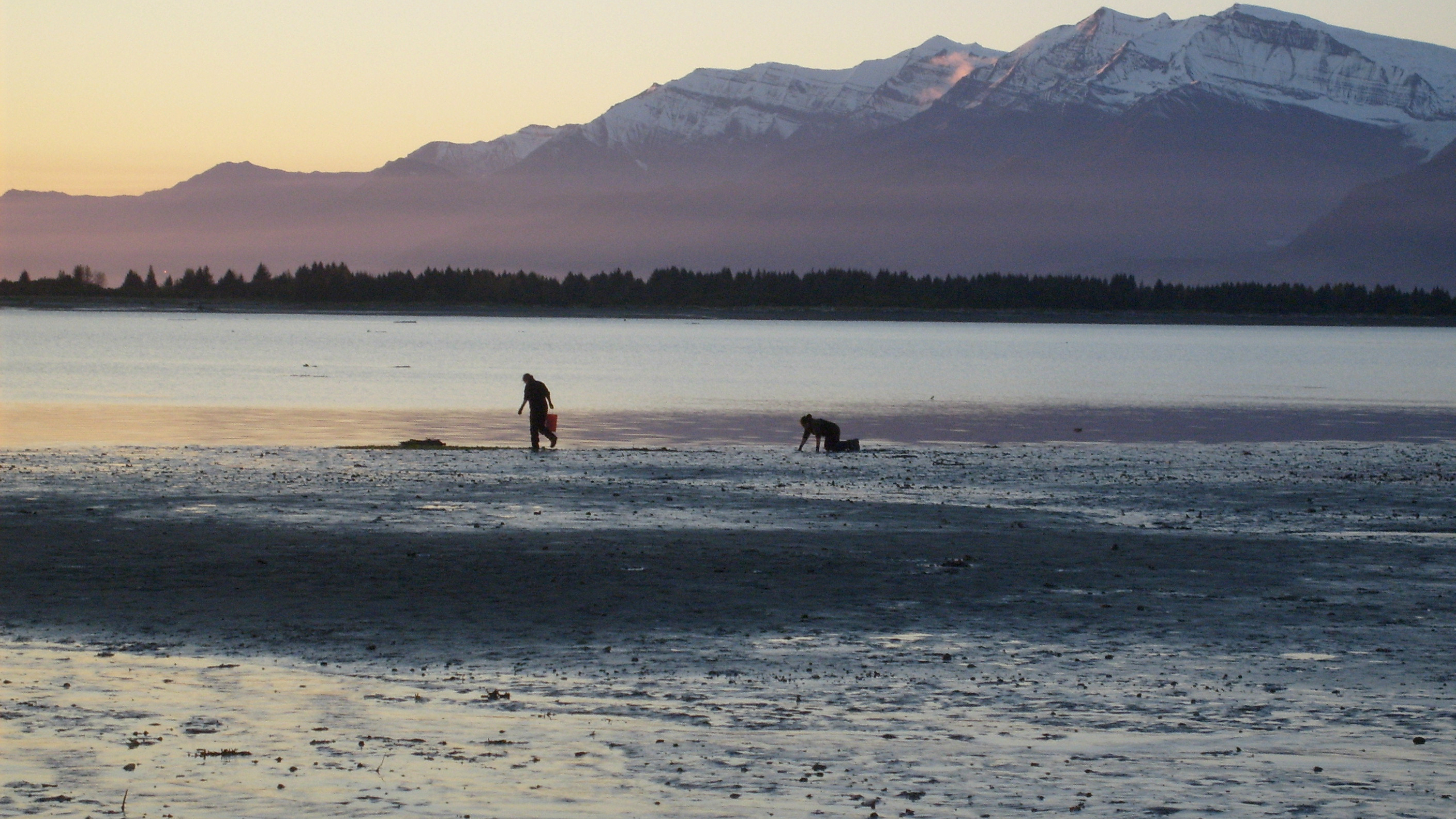 Take the Long Way Home