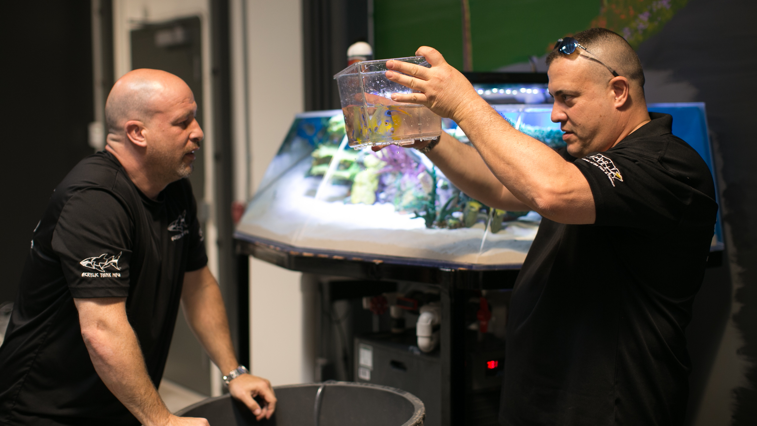 Tanked