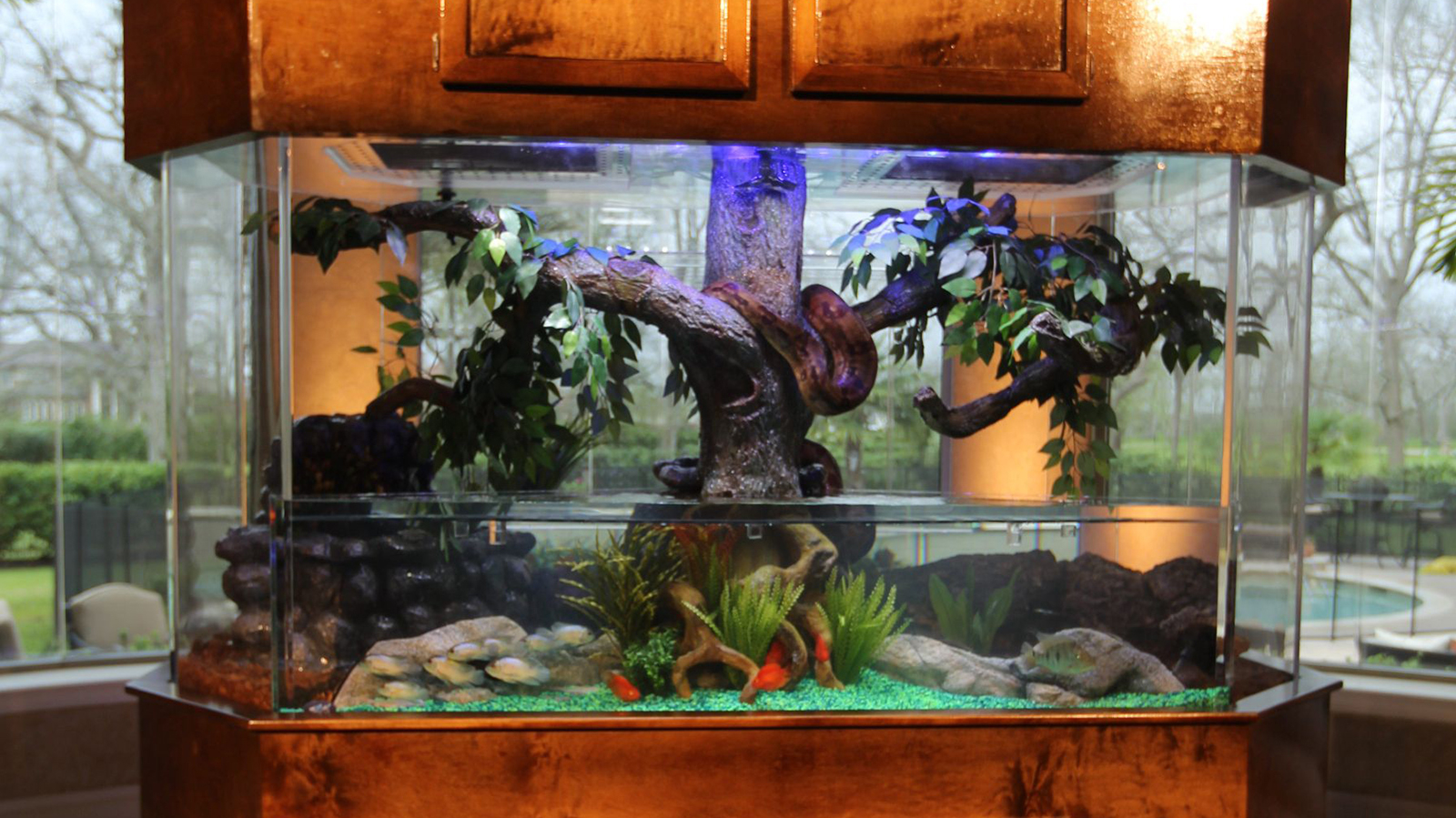 Tanked
