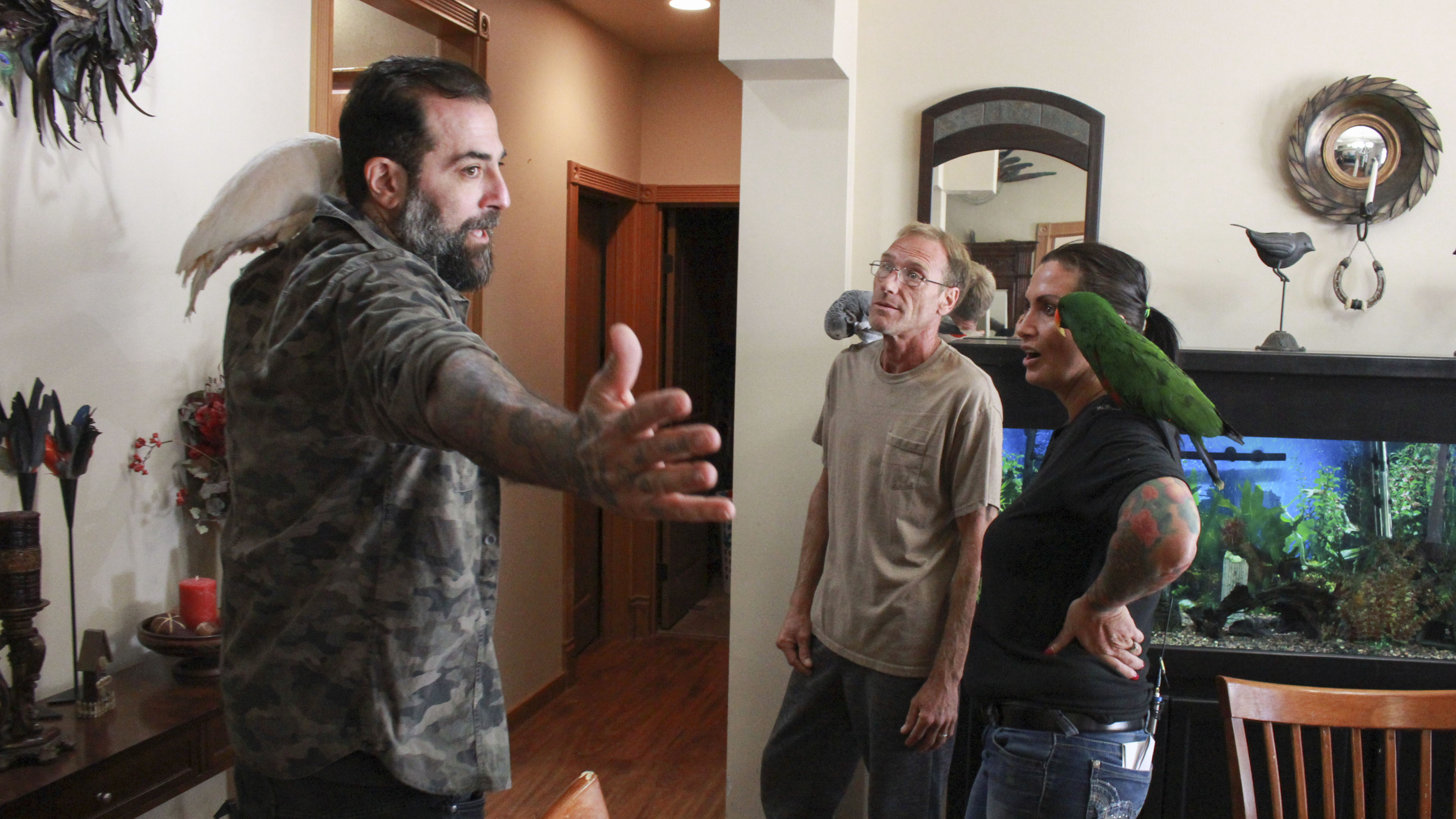 Superfly Parrot Palace