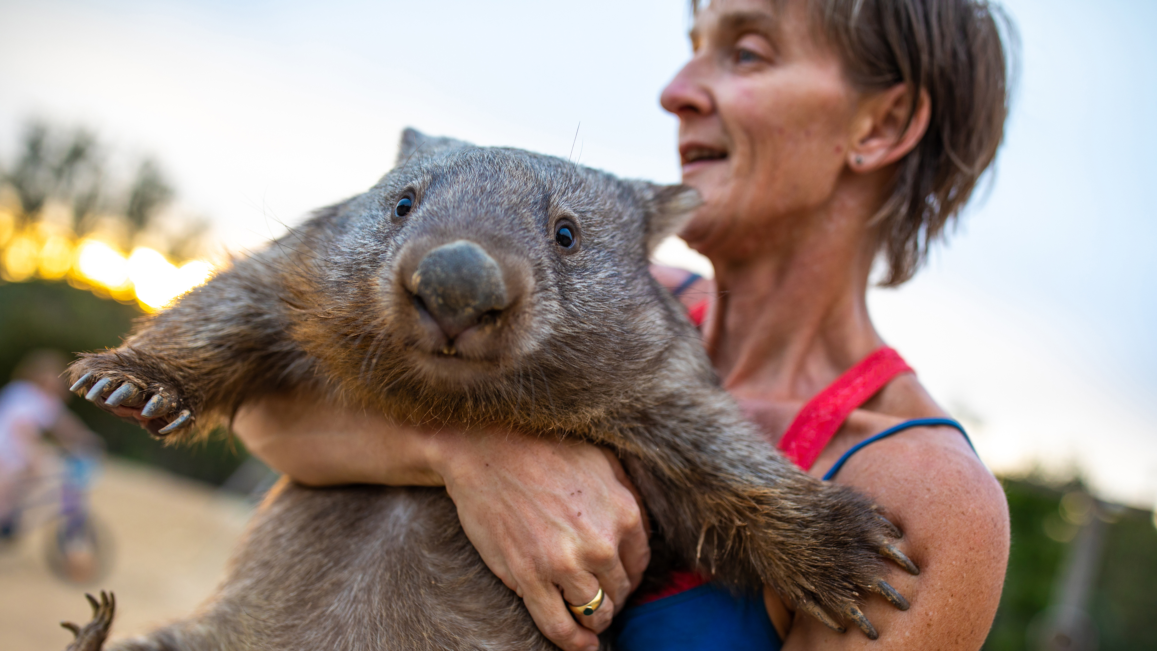 A House Full Of Wombats