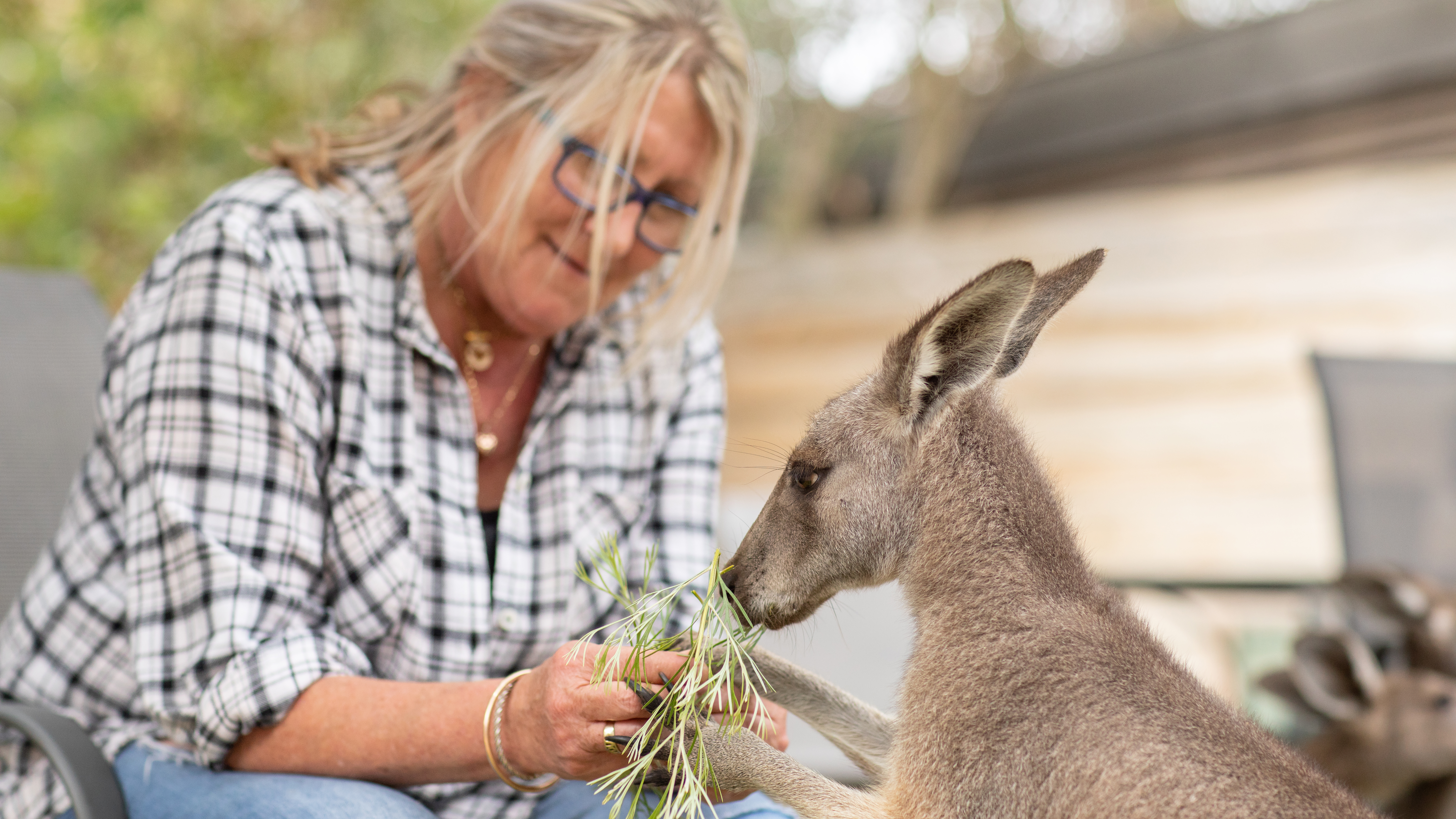 Theresa And Scruff’s Kangaroo Haven